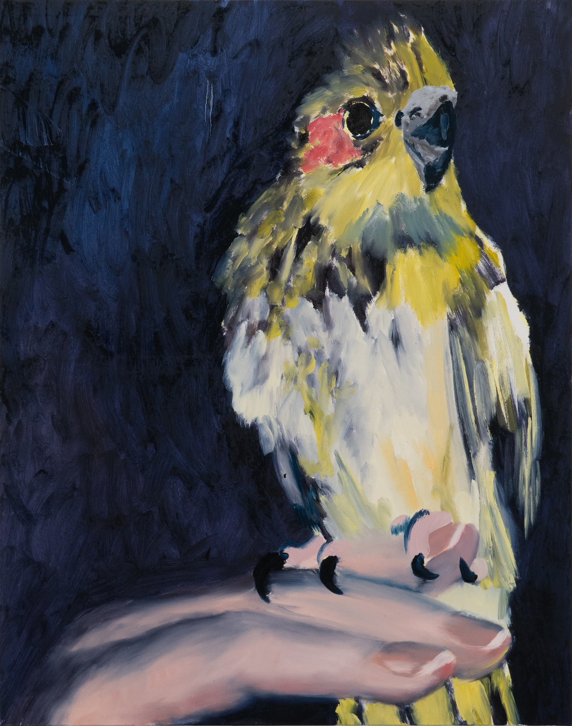 birdie1, Öl auf Leinwand, 180 x 150 cm