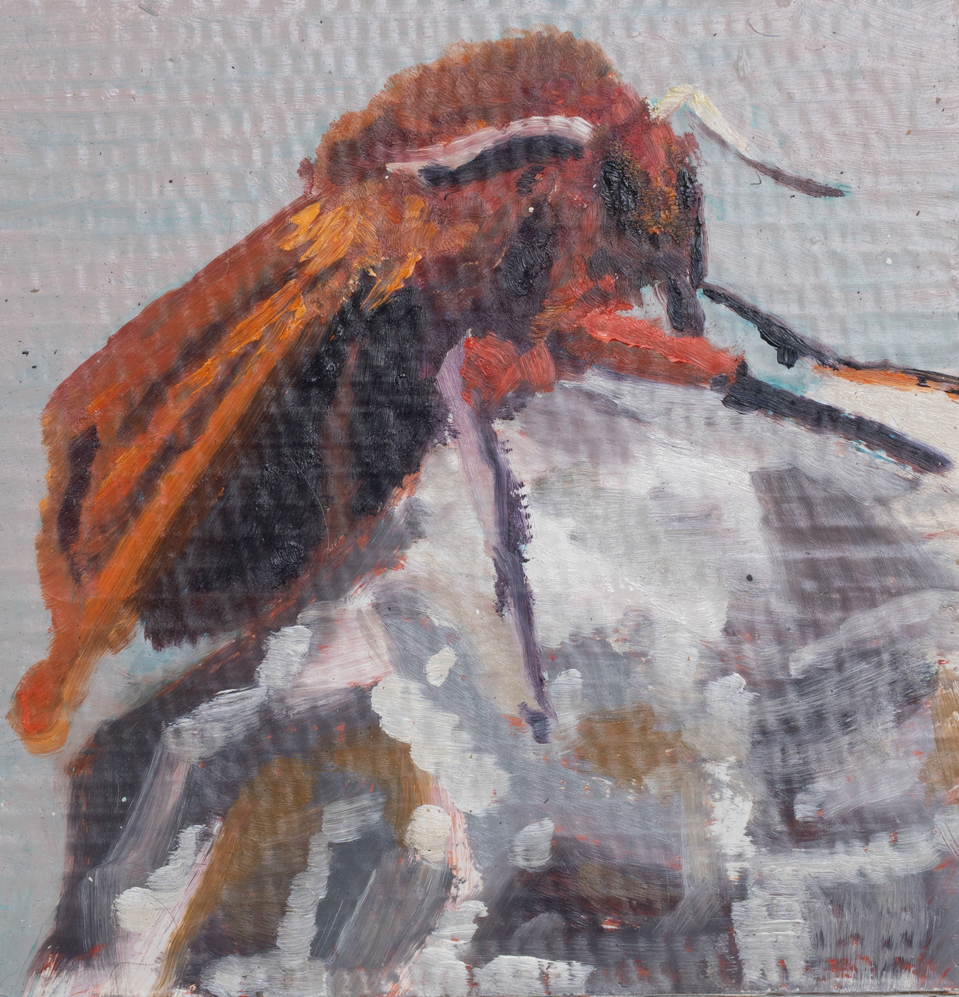 imago_ontherock, 20 x 19 cm, Ö auf Wellkarton