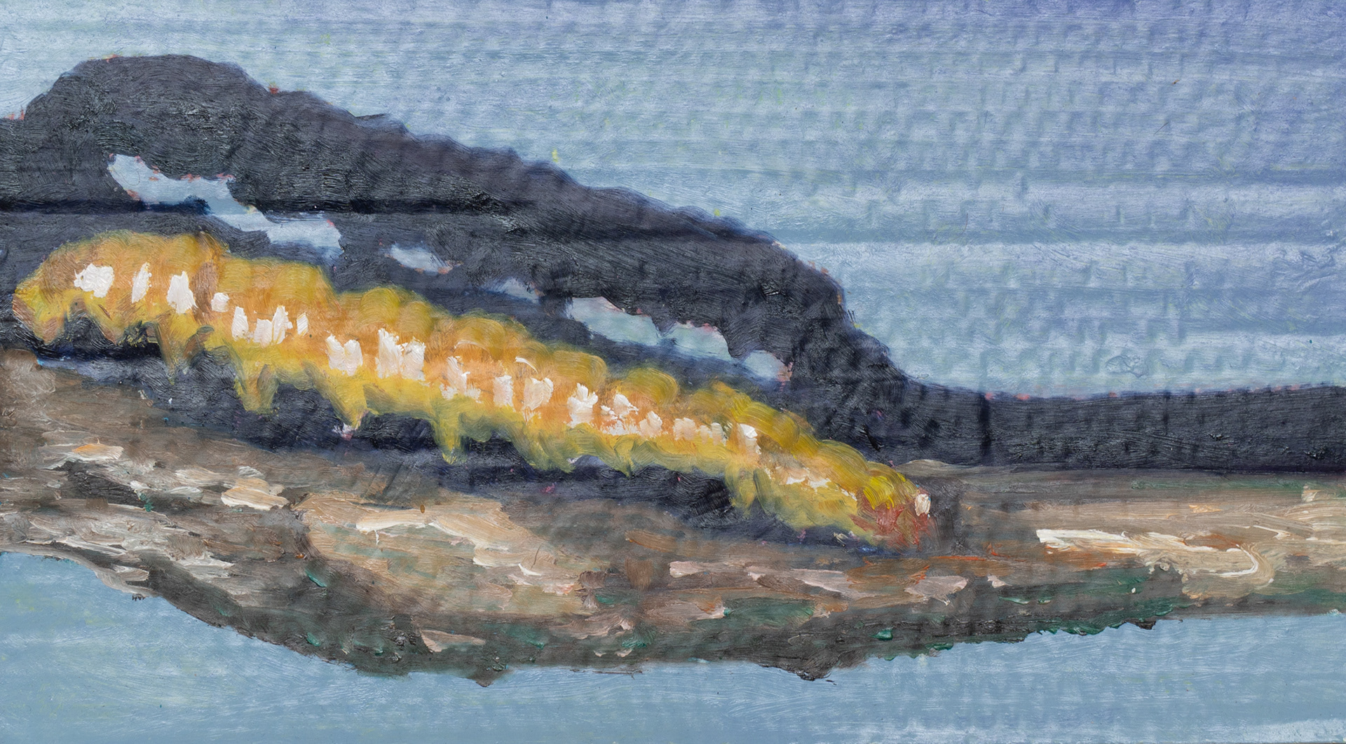 preimago_parade, 20 x 35,4 cm, Öl auf Wellkarton
