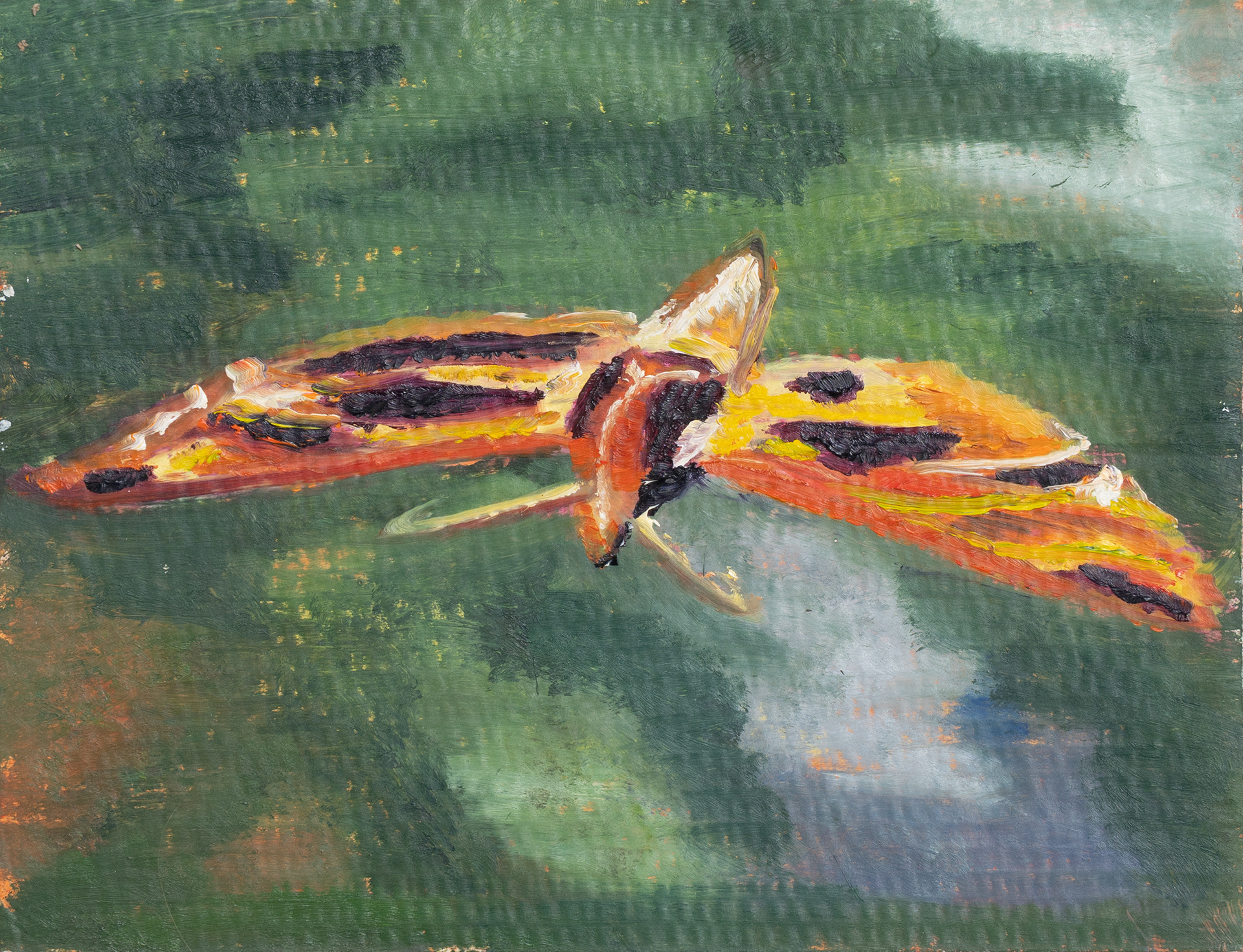 imago_Flying, 20 x 26 cm, Ö auf Wellkarton