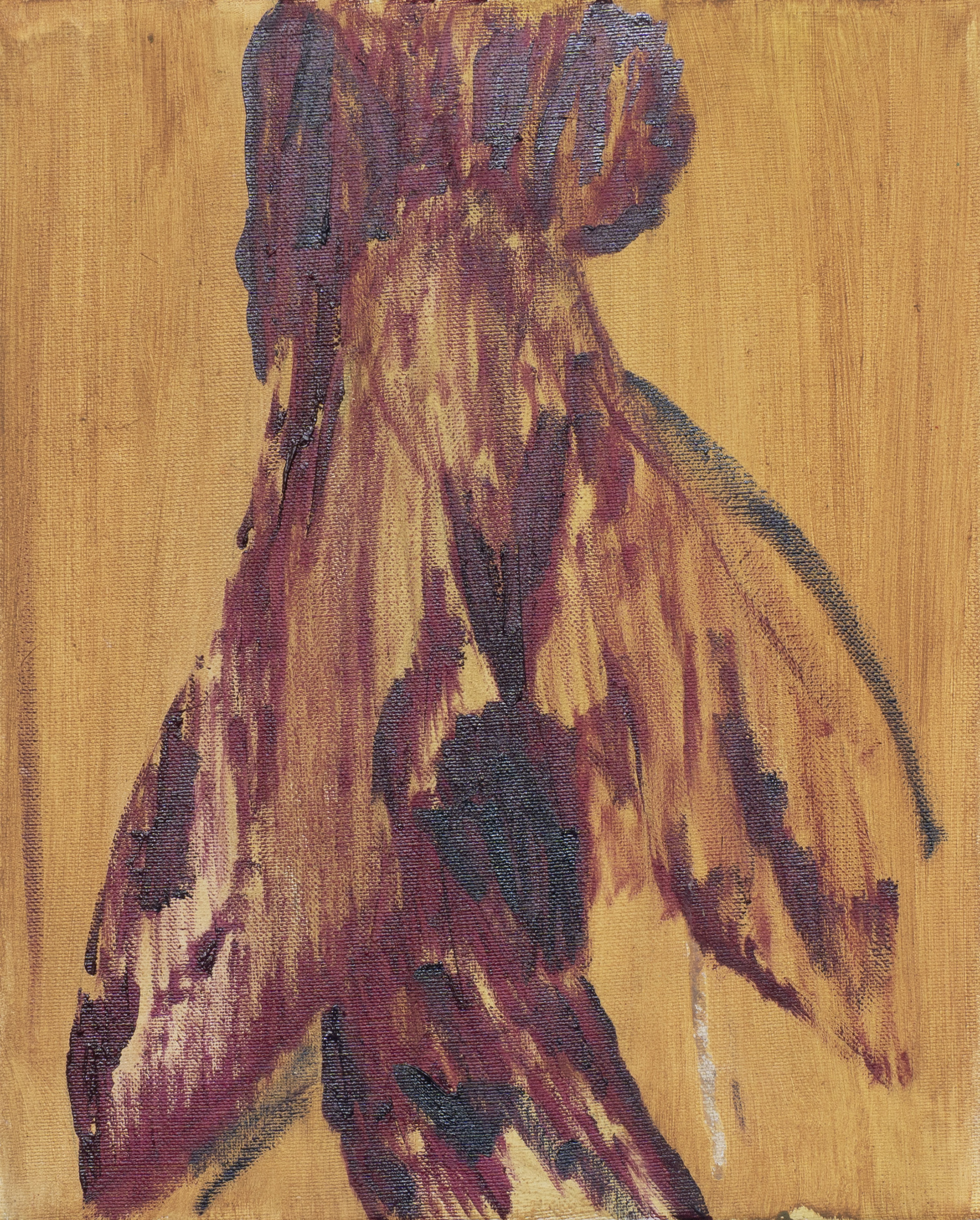 imago_bichromatic, 32 x 25 cm, Öl auf Baumwolle