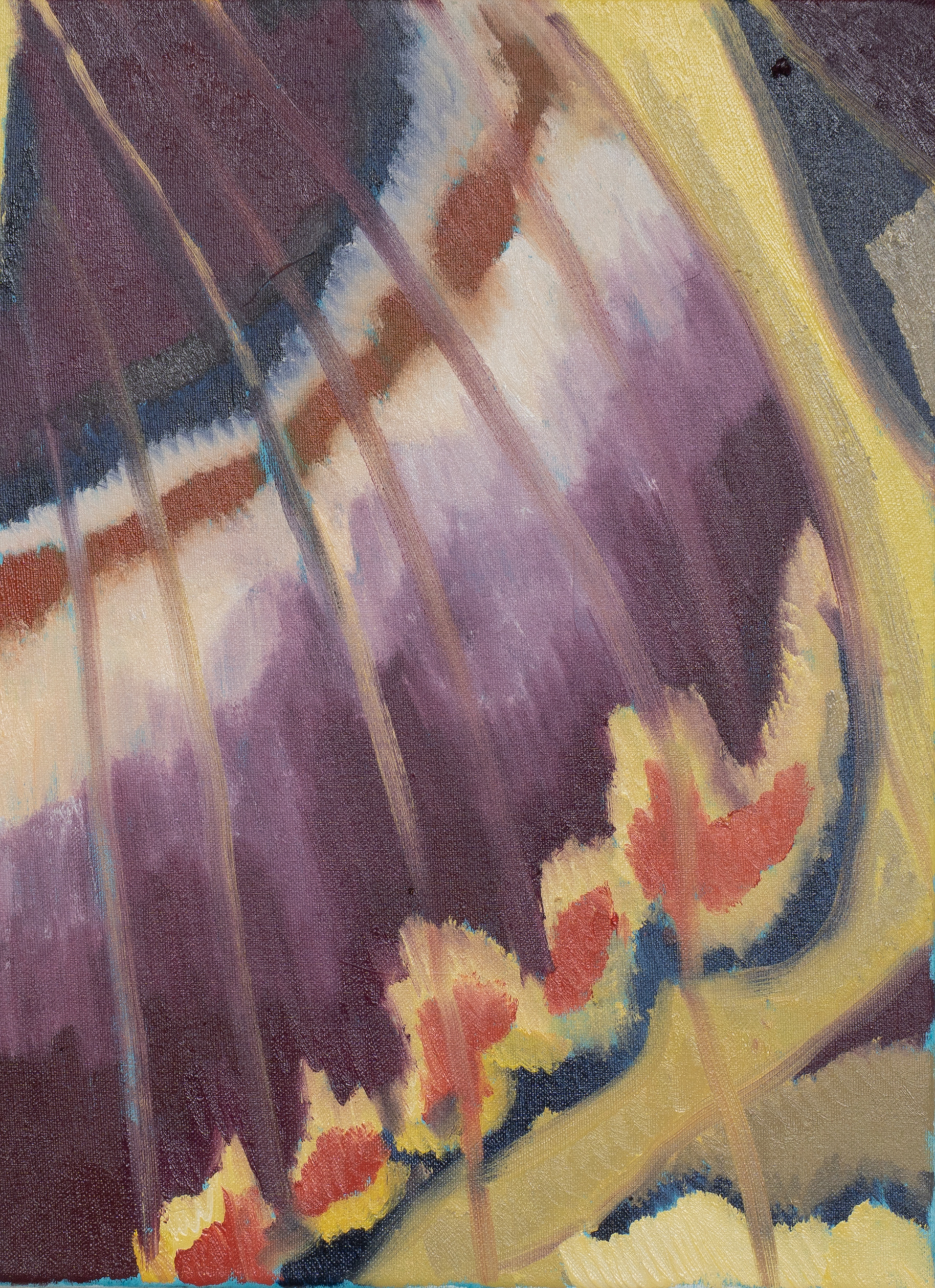 imago_wing, 45 x 33 cm, Öl auf Baumwolle