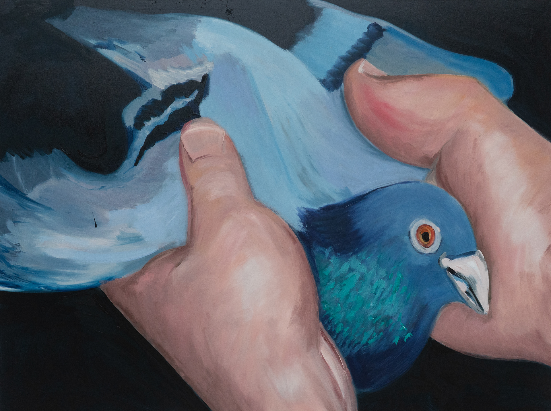 Taubengriff, Öl auf Leinwand, 160 x 200 cm