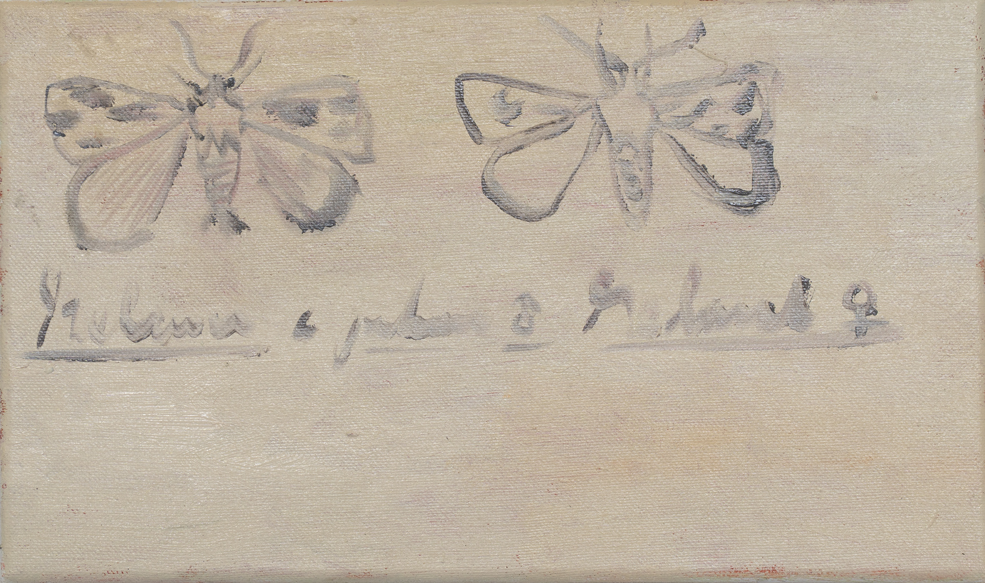 imago_male/female, 18 x 31 cm, Öl auf Baumwolle