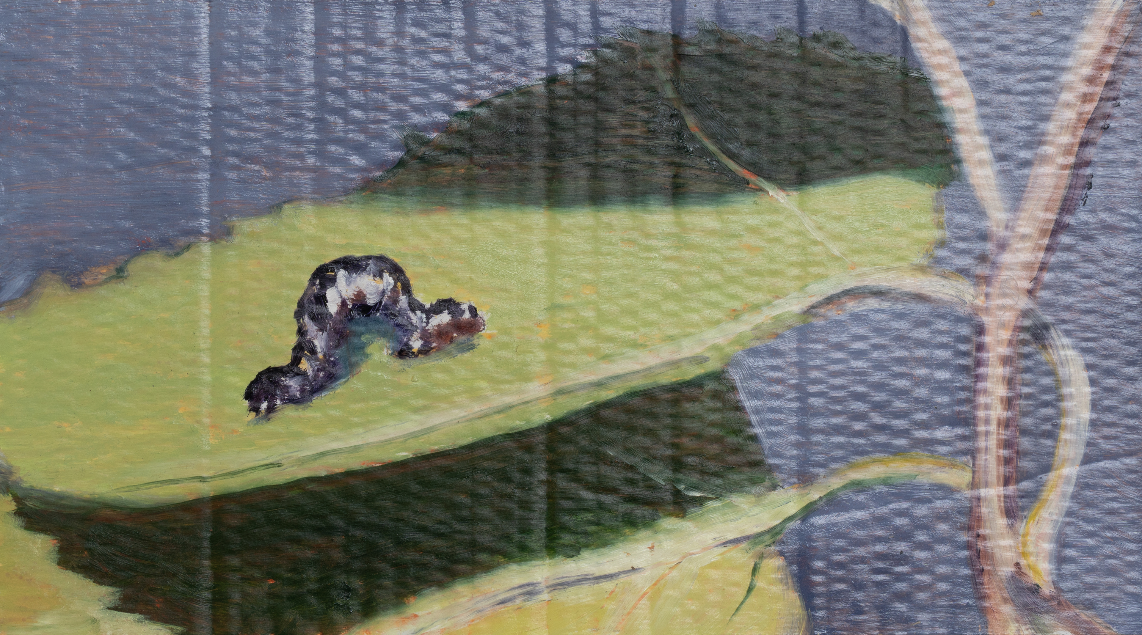 preimago_curved, 20 x 35,5 cm, Ö auf Wellkarton