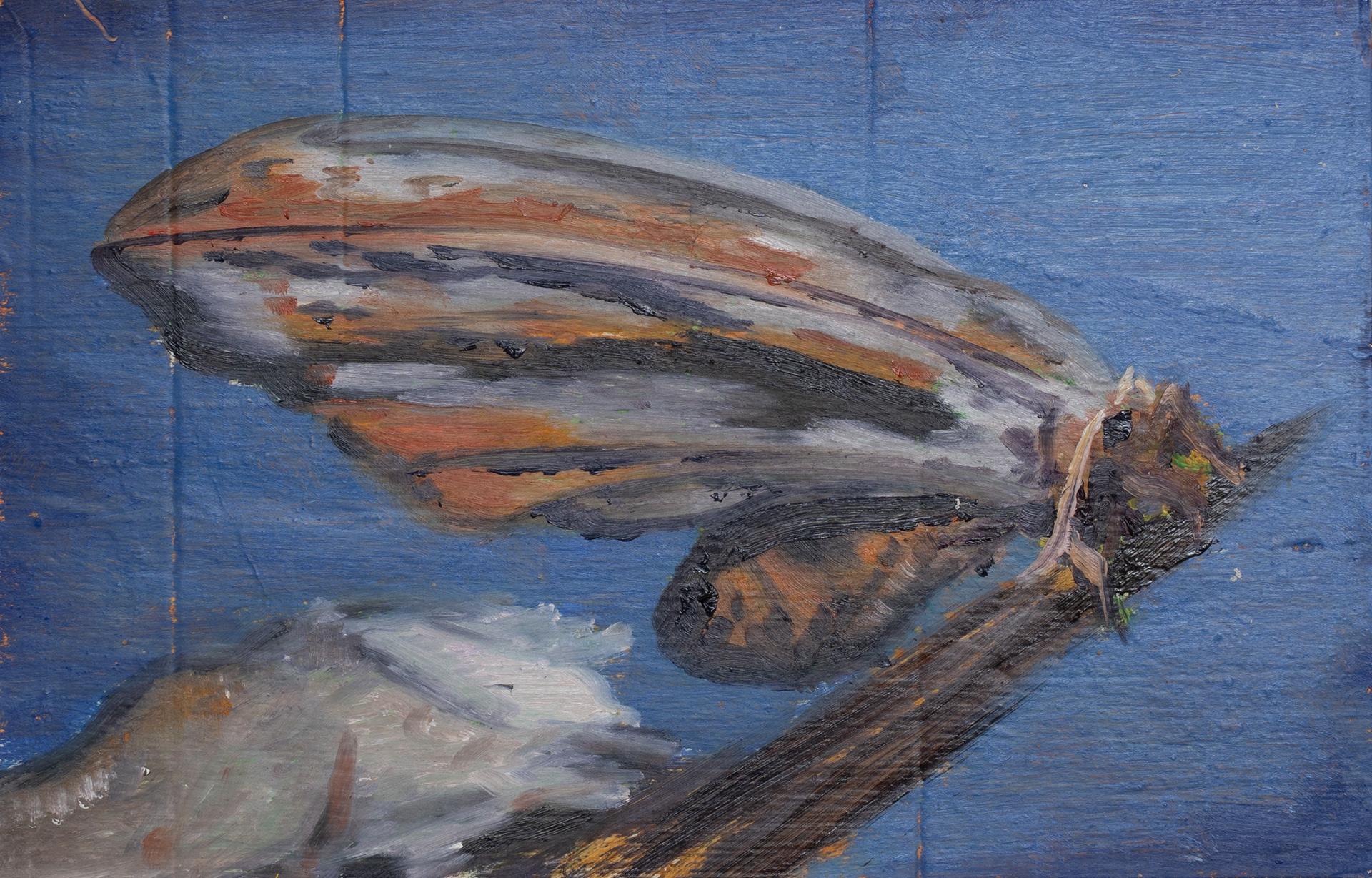 imago_born, 20 x 31 cm, Öl auf Wellkarton