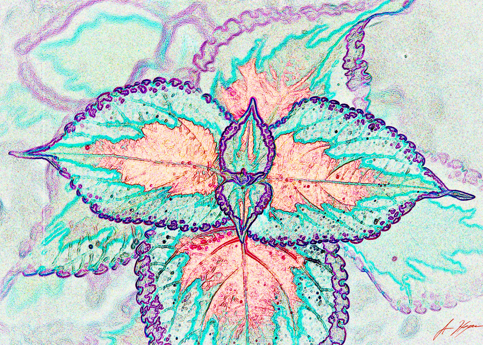 Coleus with filter applied
