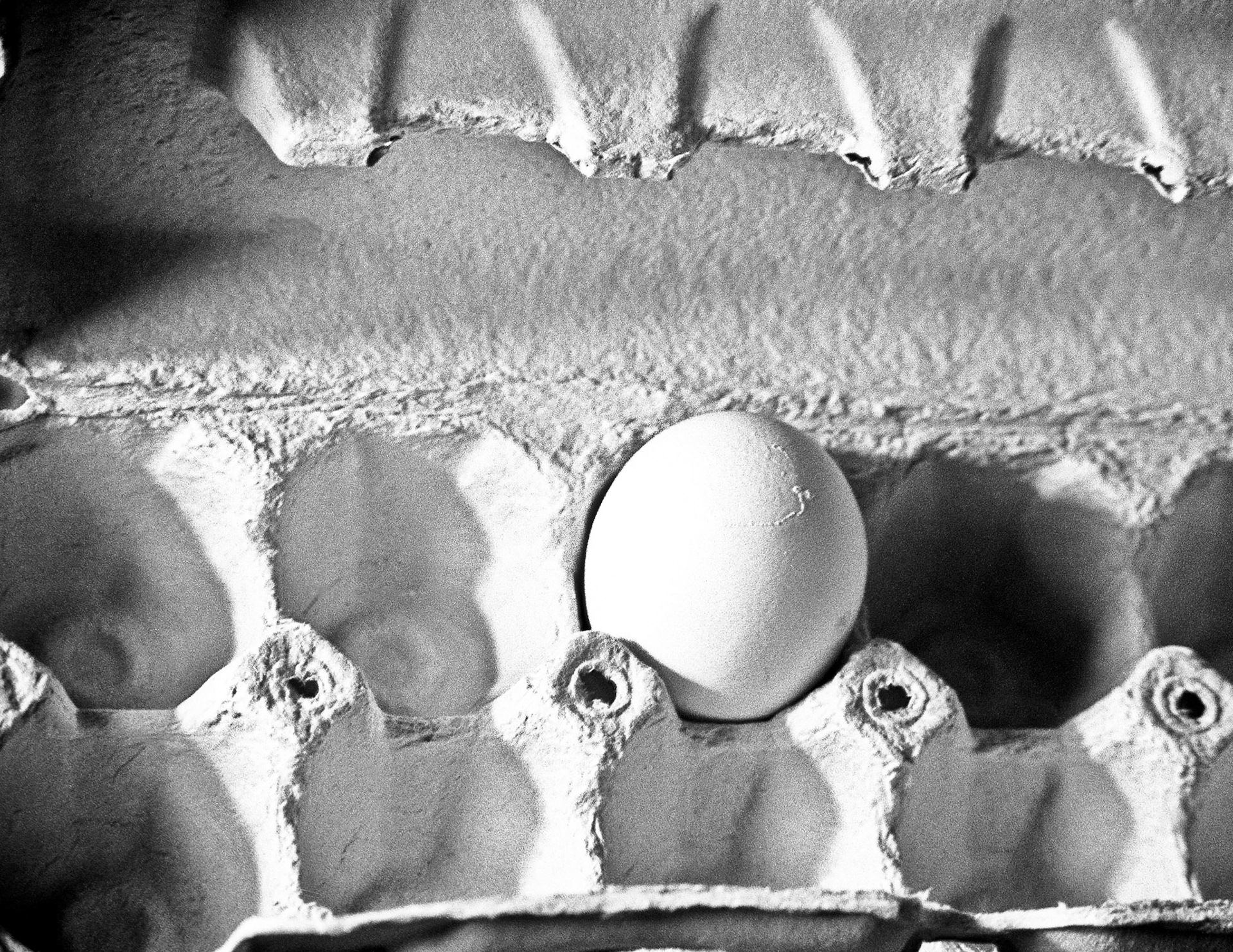A single egg is pictured in a cardboard carton