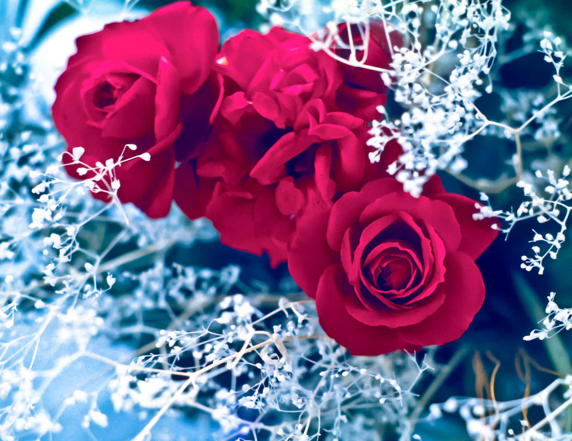 Roses arranged in a centerpiece at a wedding.