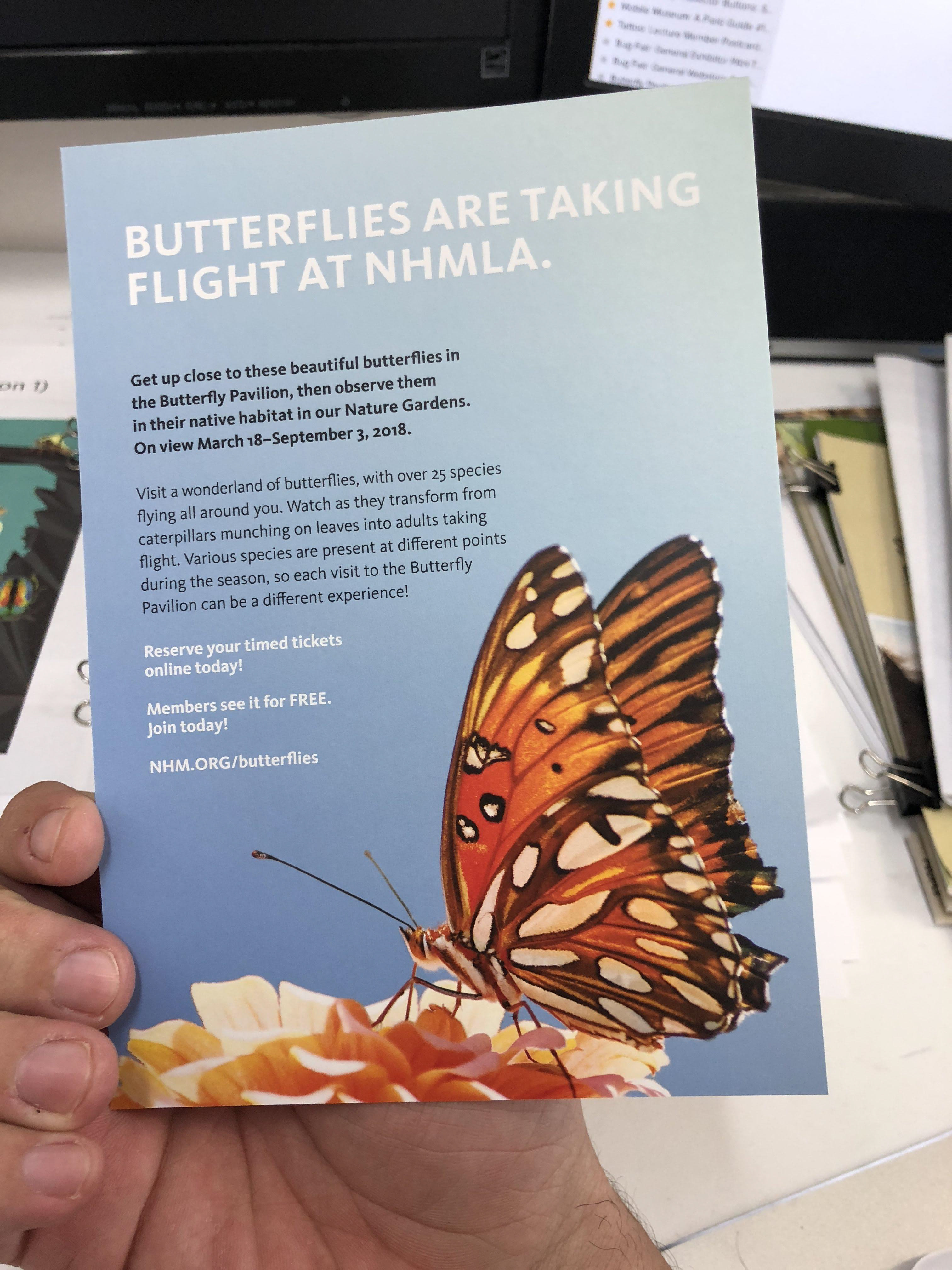 Butterfly Pavilion Postcard | Back