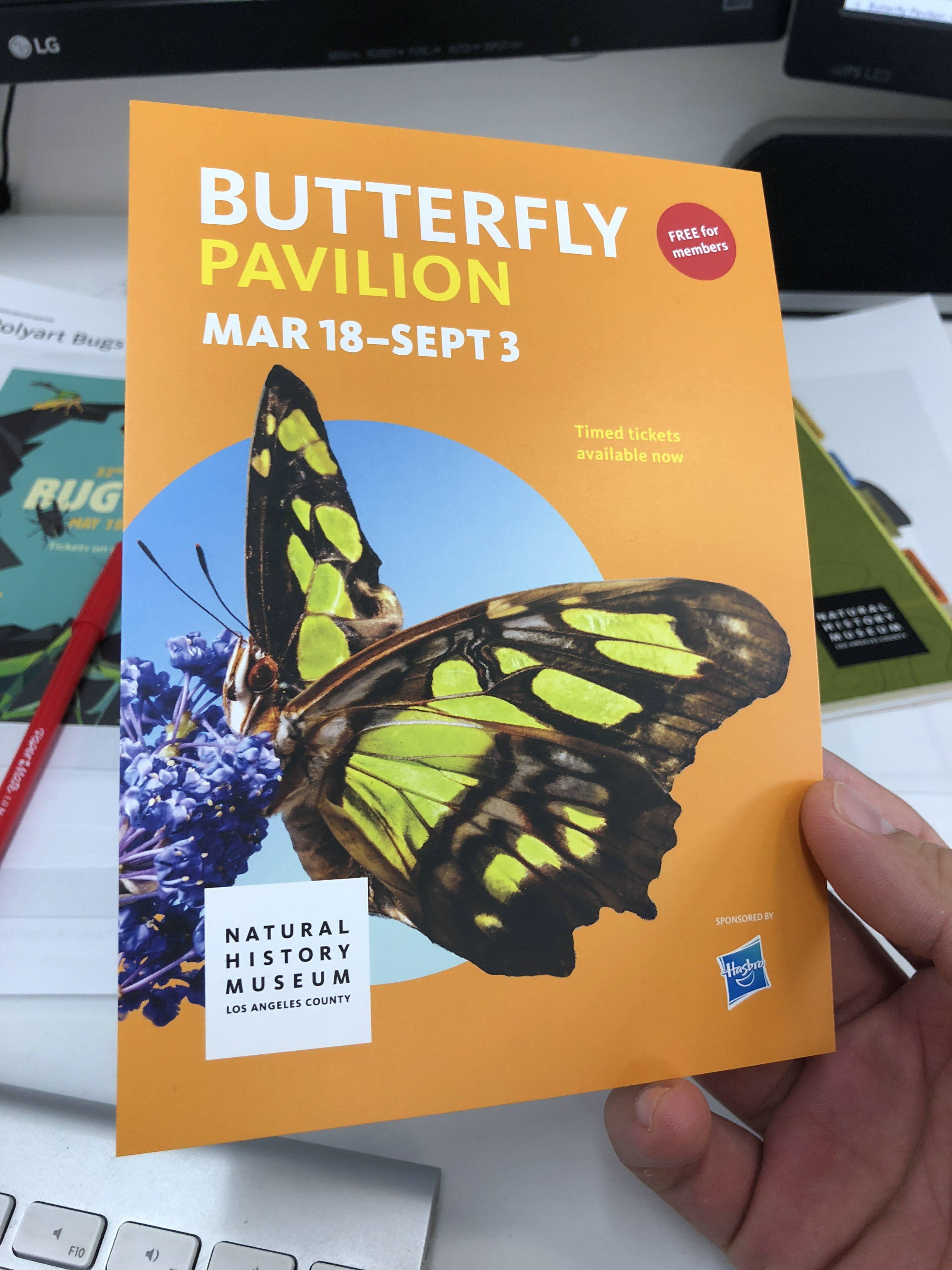 Butterfly Pavilion Postcard | Front