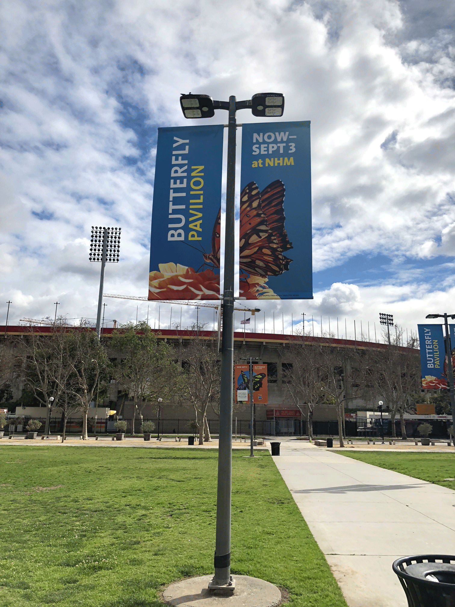 Natural History Museum | Street Pole Banners