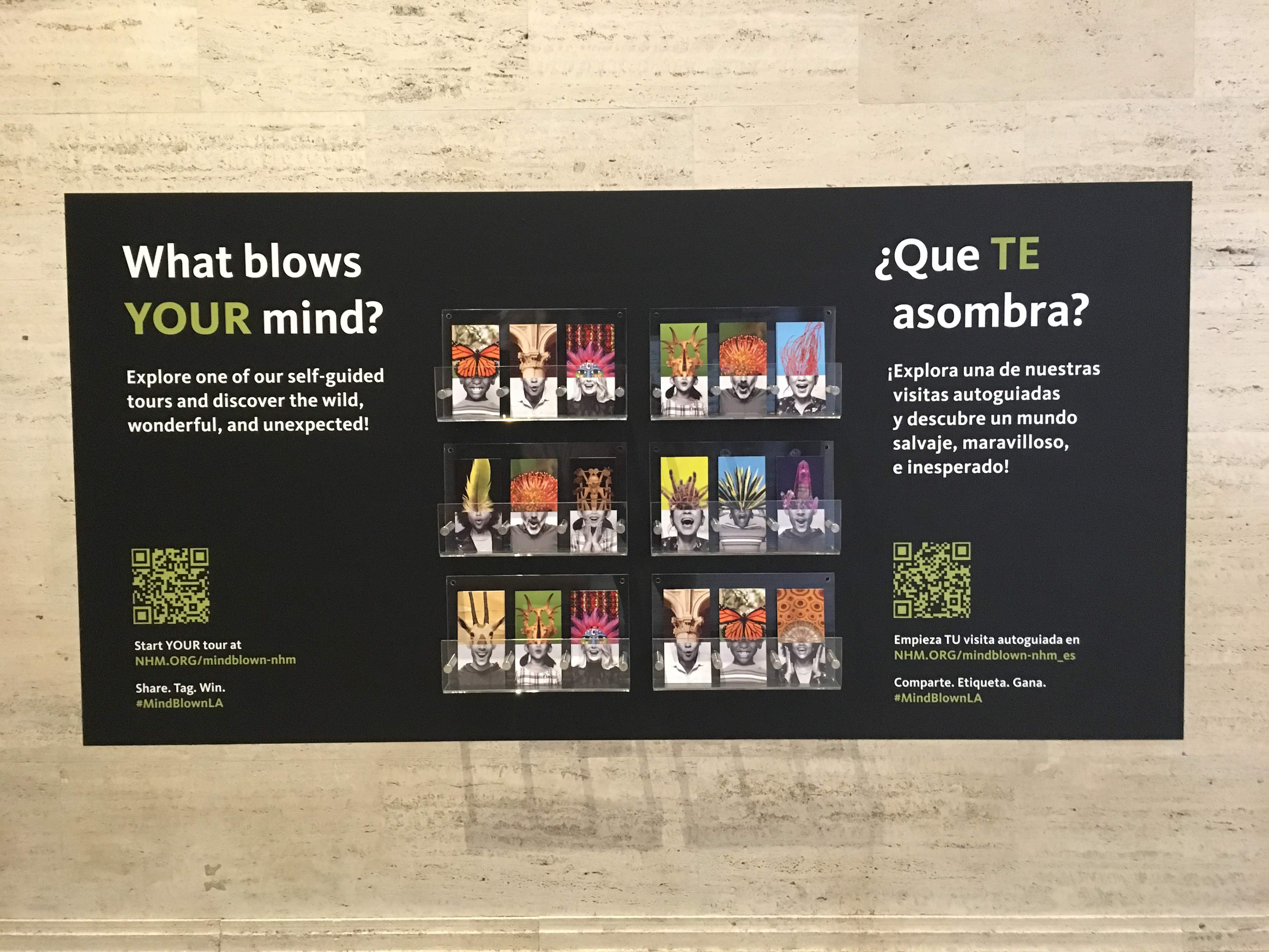 Natural History Museum | "What Blow Your Mind?" Postcard Wall