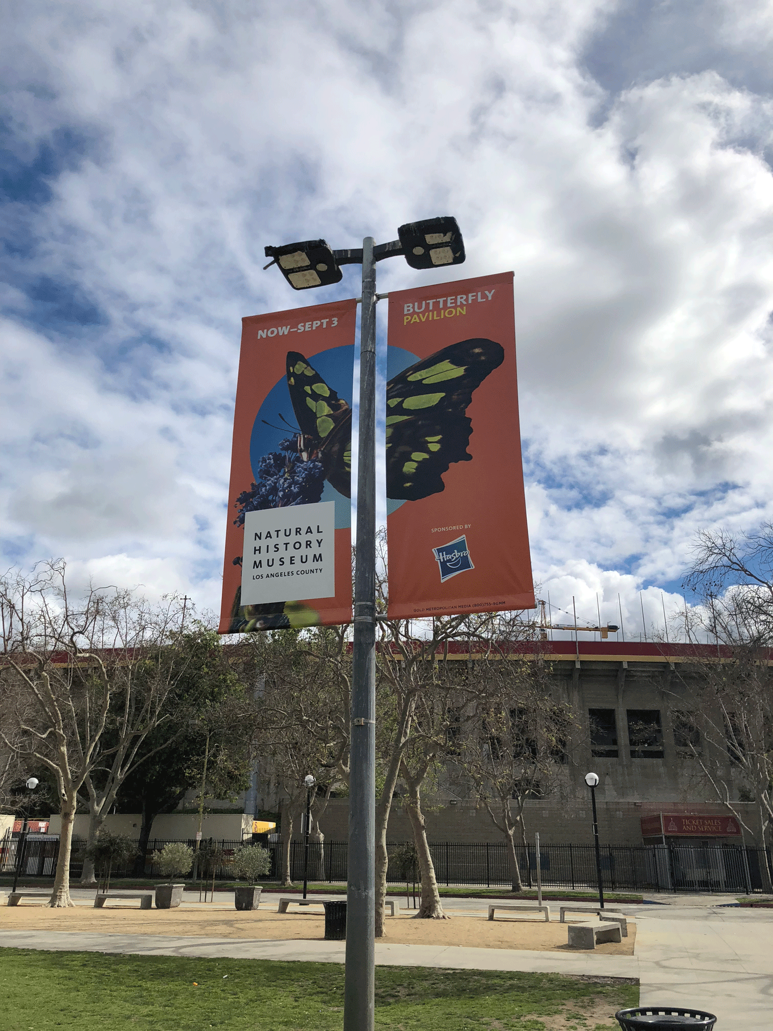 Natural History Museum | Street Pole Banners