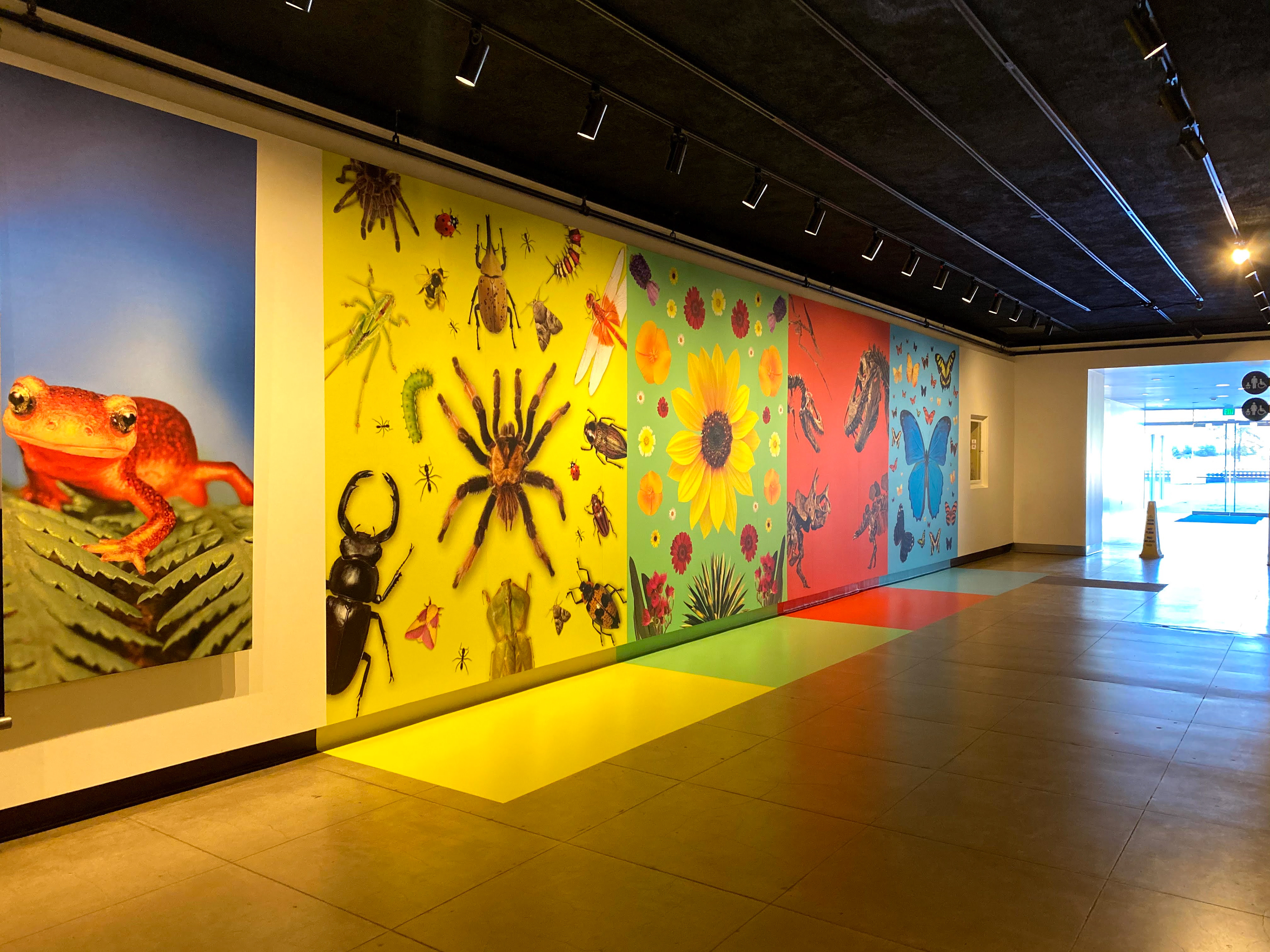 Natural History Museum | "What Blow Your Mind?" Selfie Wall