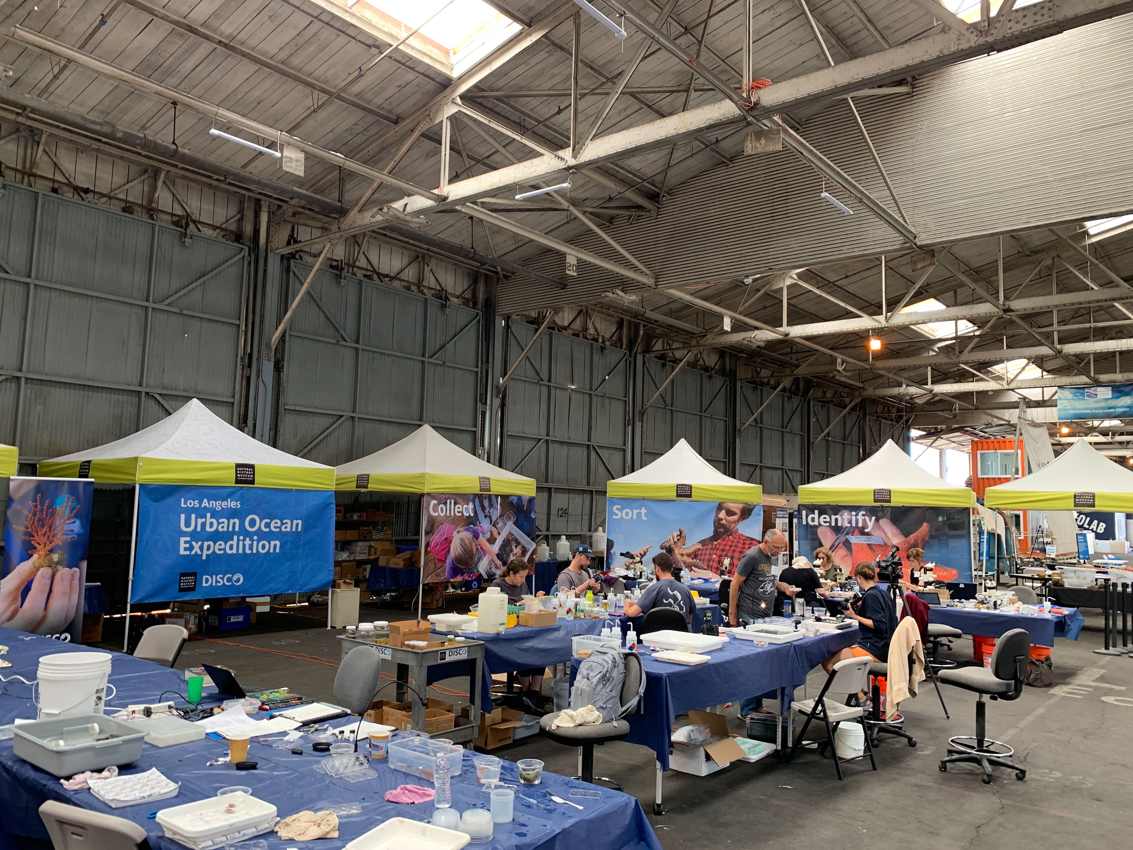 L.A. Urban Ocean Expedition | Event Branding