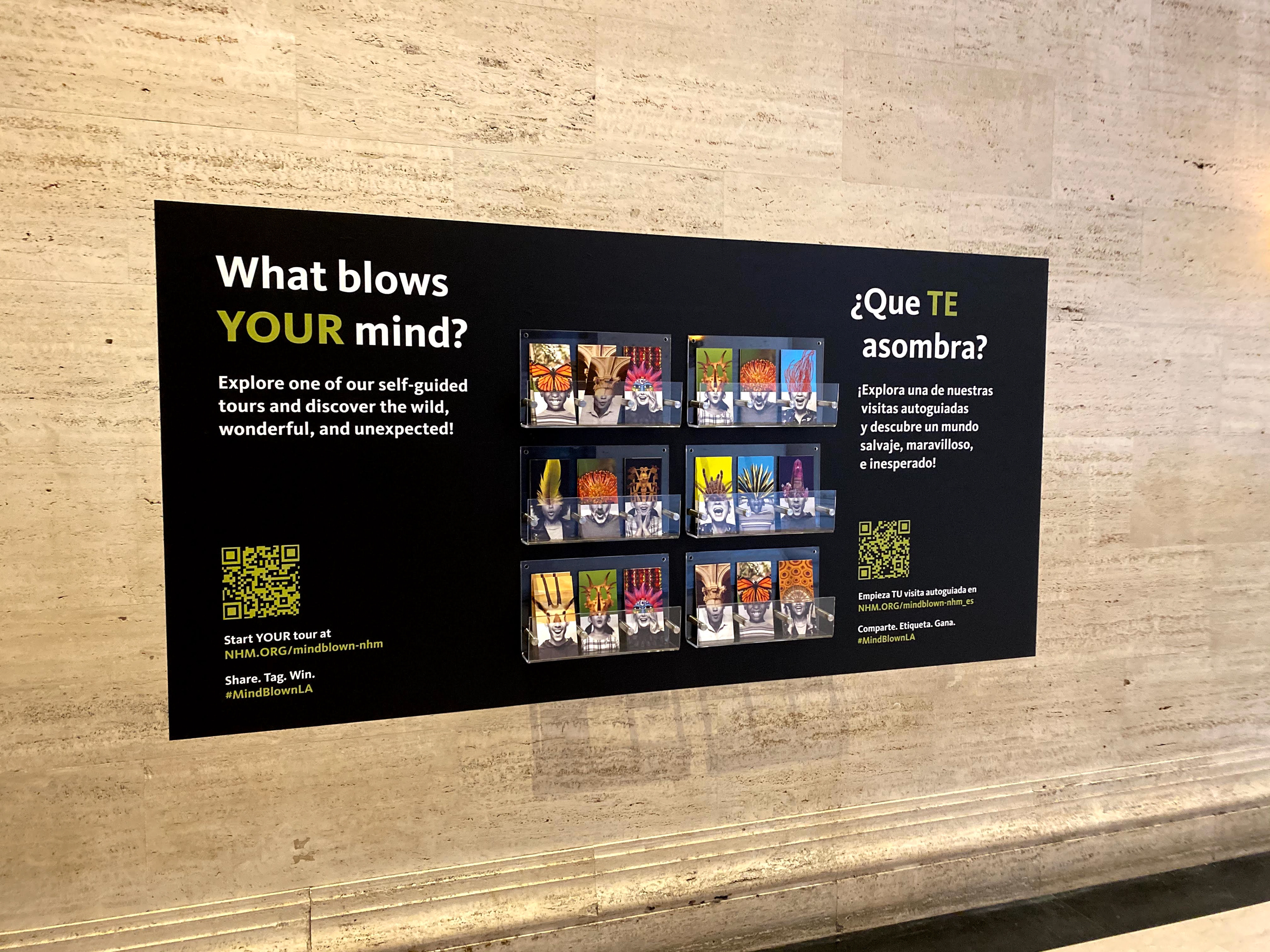 Natural History Museum | "What Blow Your Mind?" Postcard Wall
