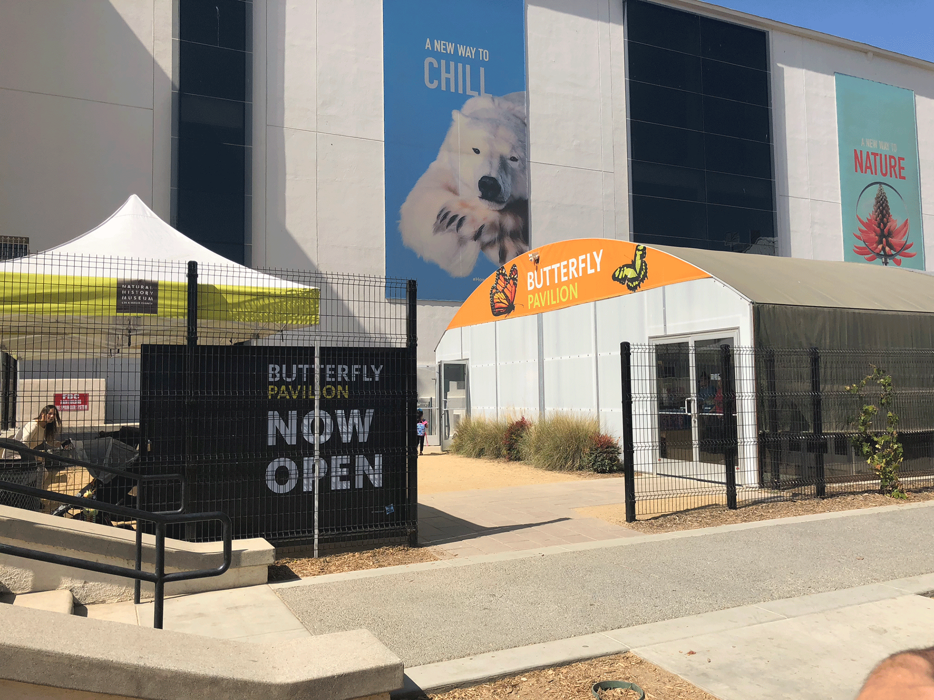 Natural History Museum | Butterfly Pavilion Branding