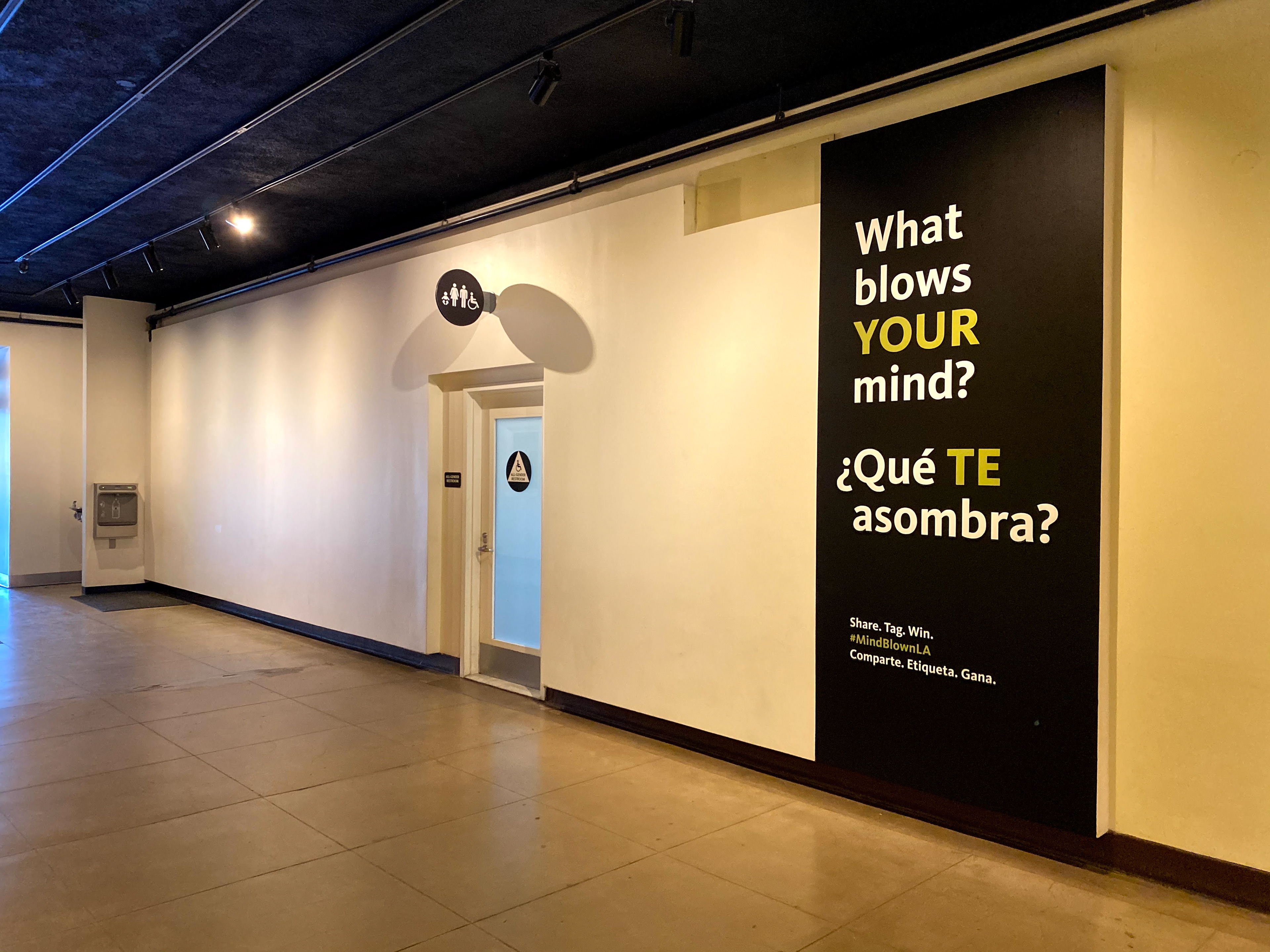 Natural History Museum | "What Blow Your Mind?"