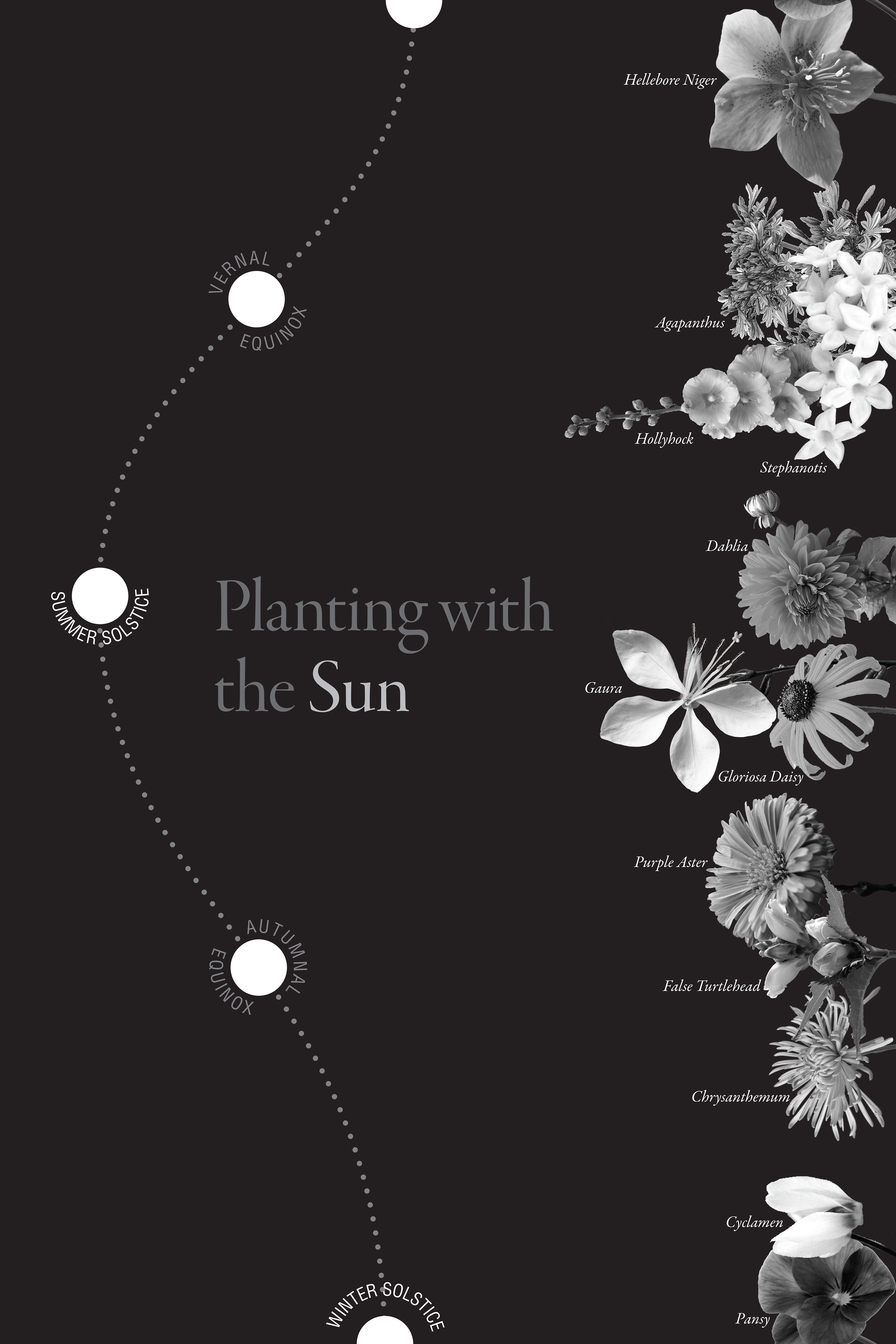 Visualization of Solar Solstice (Version 2)