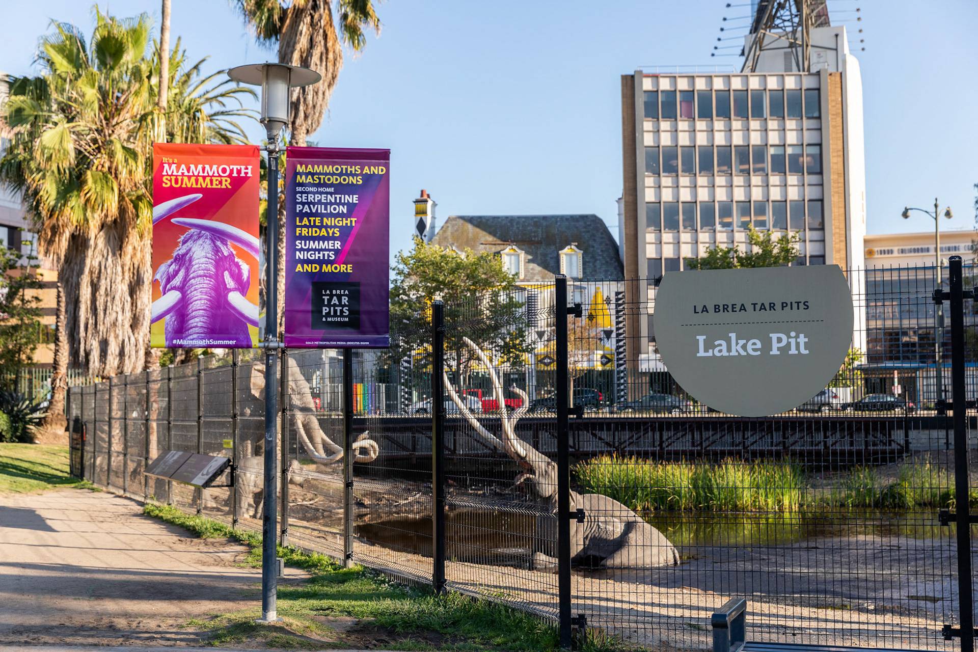 In Park Pole Banners