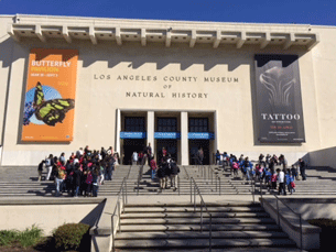 Natural History Museum | South Facade Banners