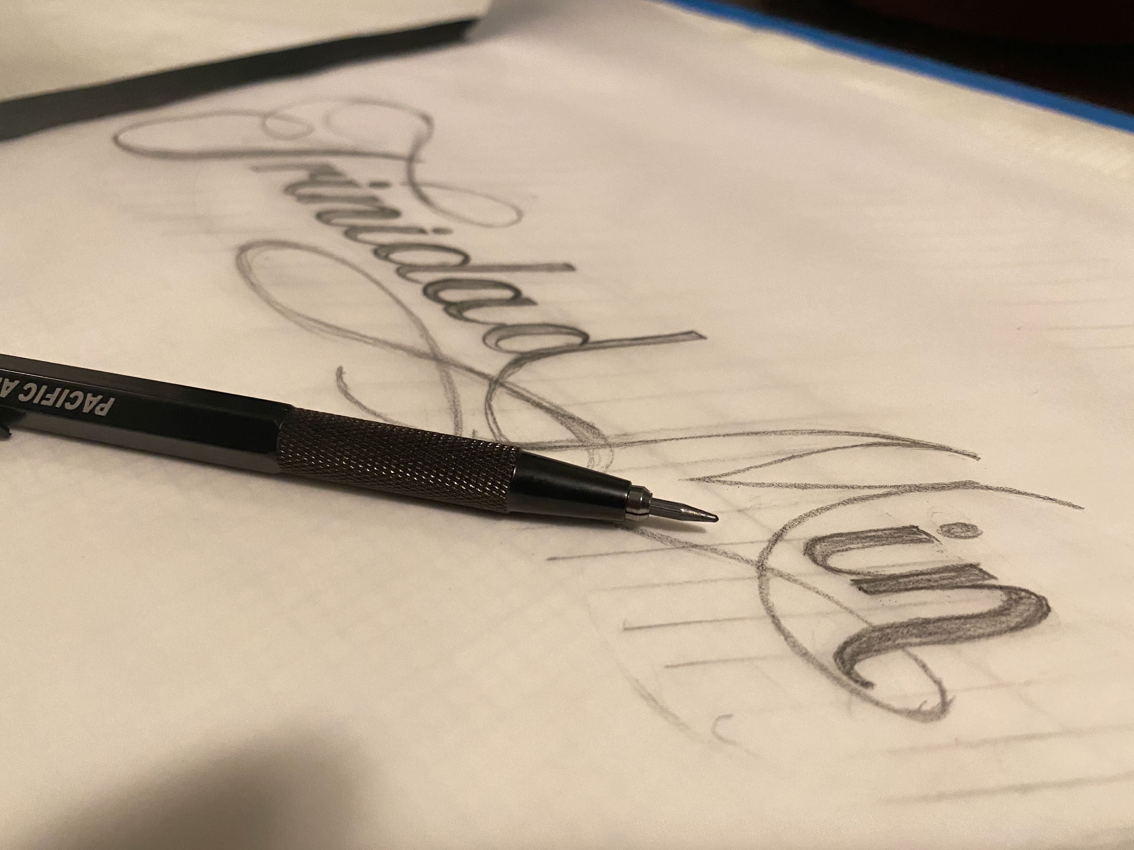 Trinidad Minaya |  Process Photo