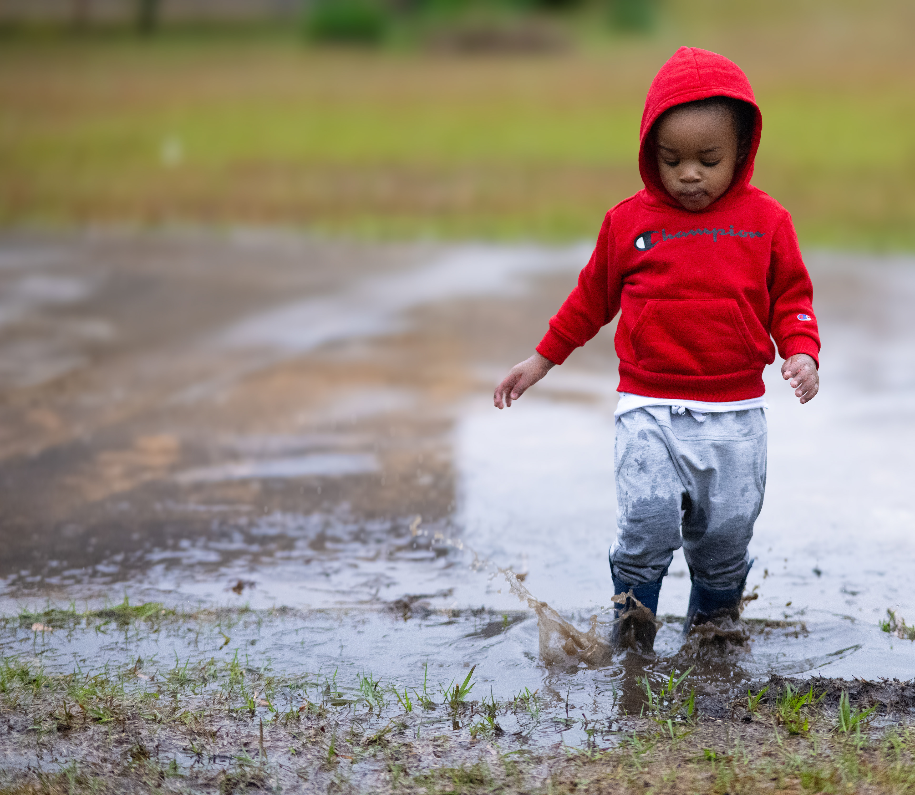 Muddy Puddles, June 19, 2024. Digital Image/Nikon Z9 85mm f/1.8