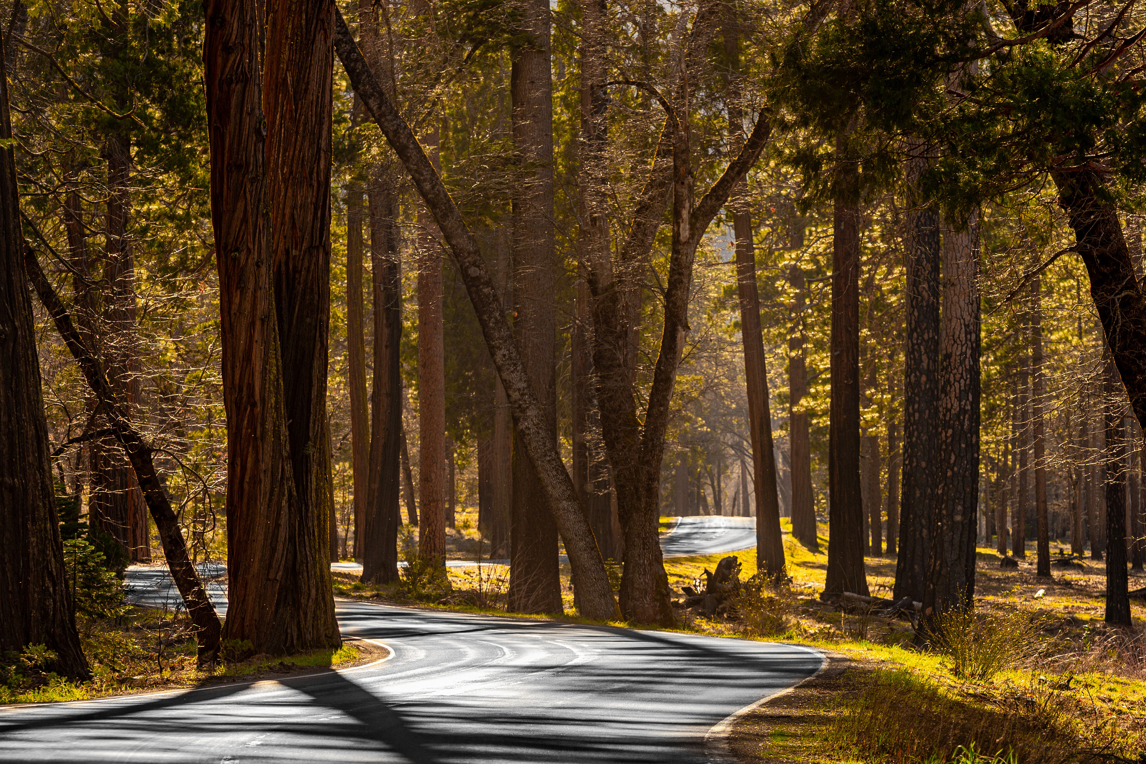 A Road Less Traveled