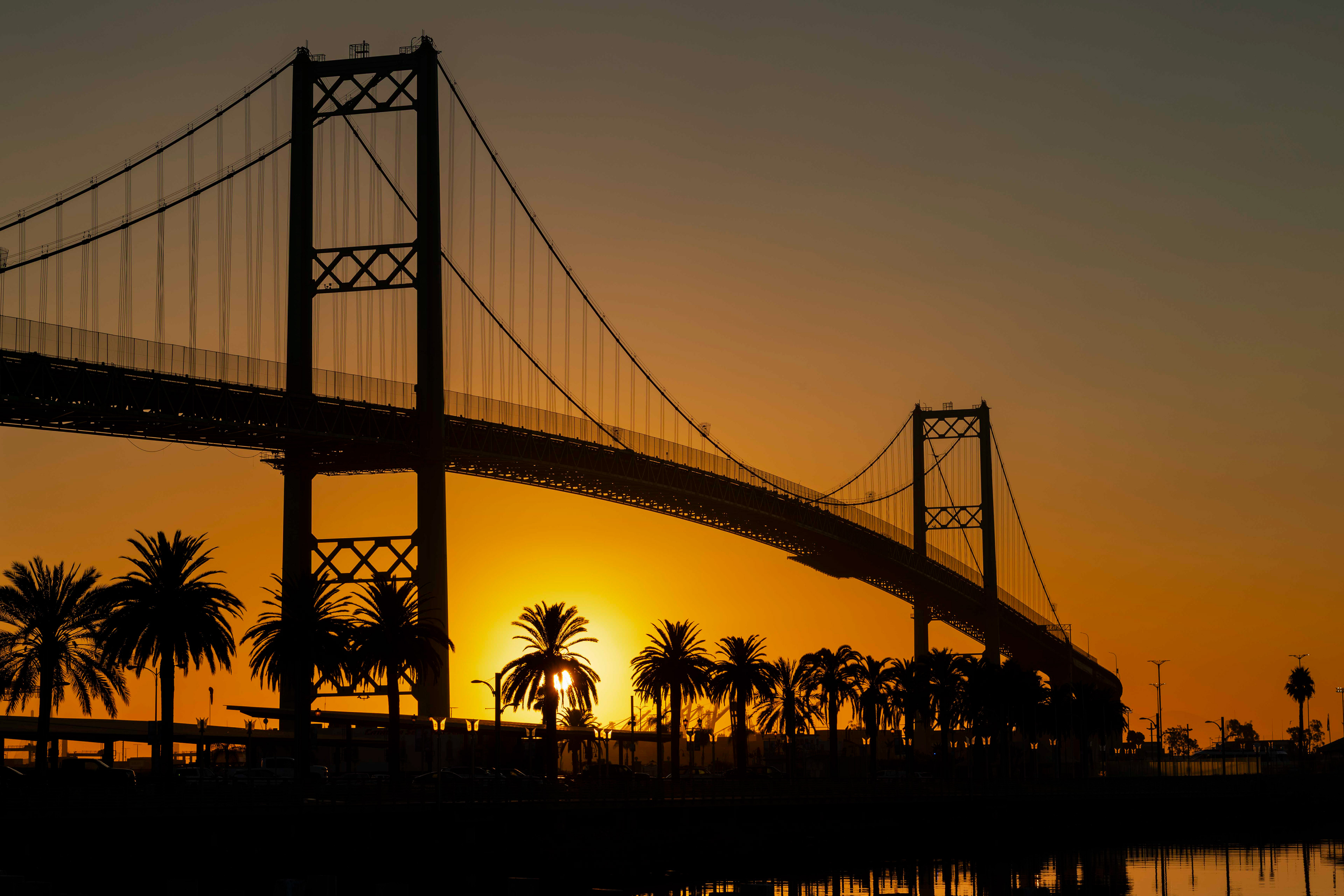 Bridge Over Paradise