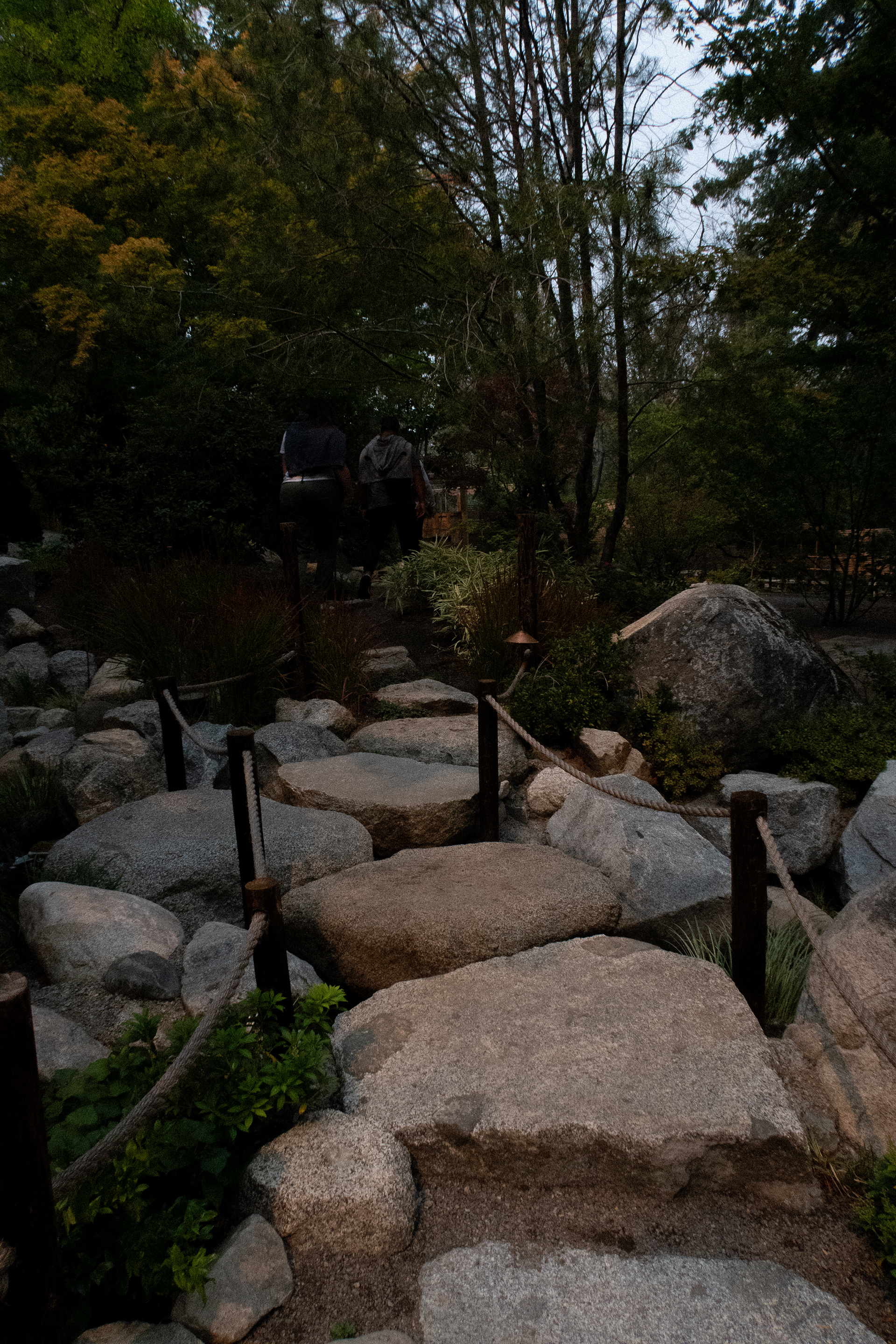 Japanese Garden, Ashland, OR. (2023)
