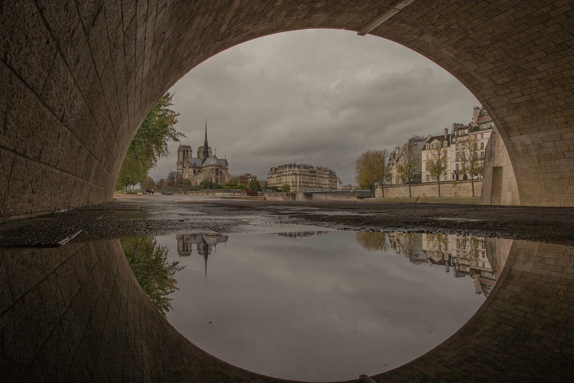 Paris in the puddles