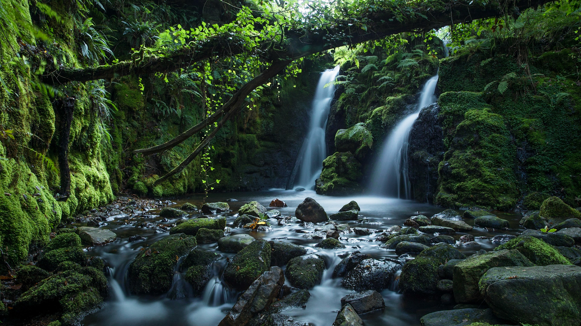 Waterfalls on Dartmoor