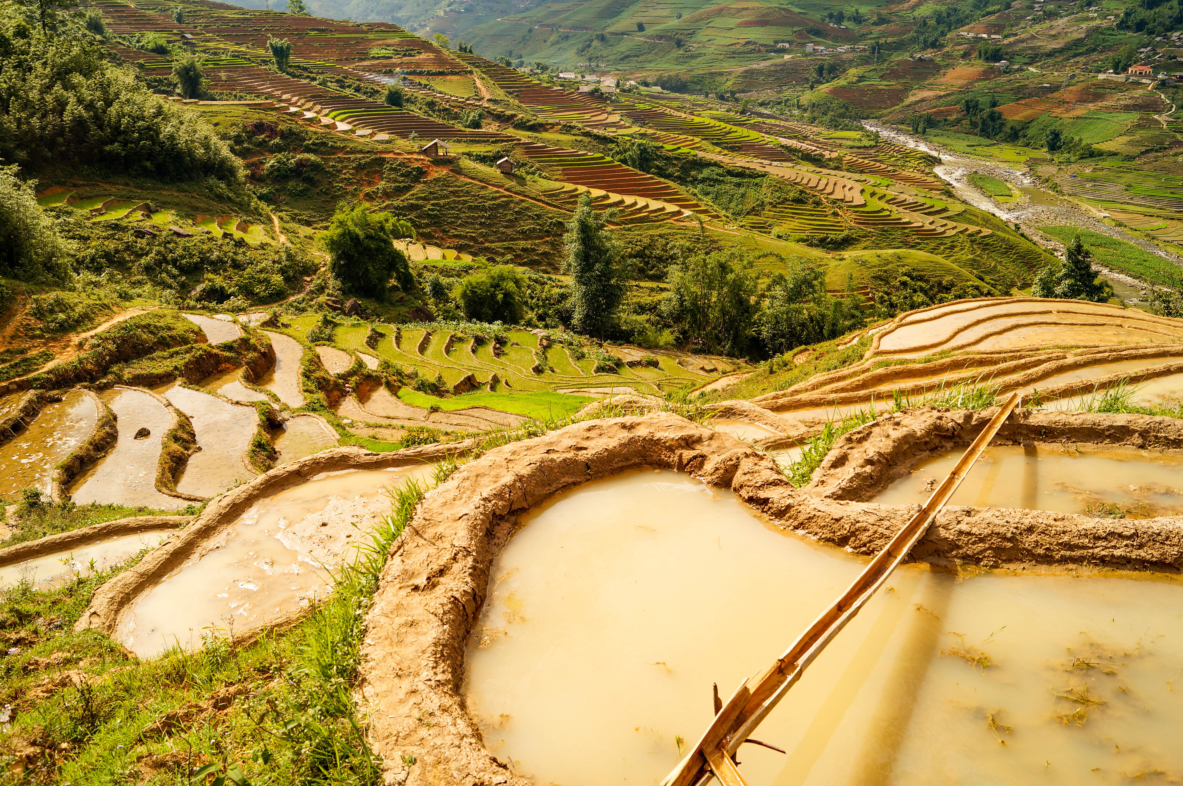 Vietnam