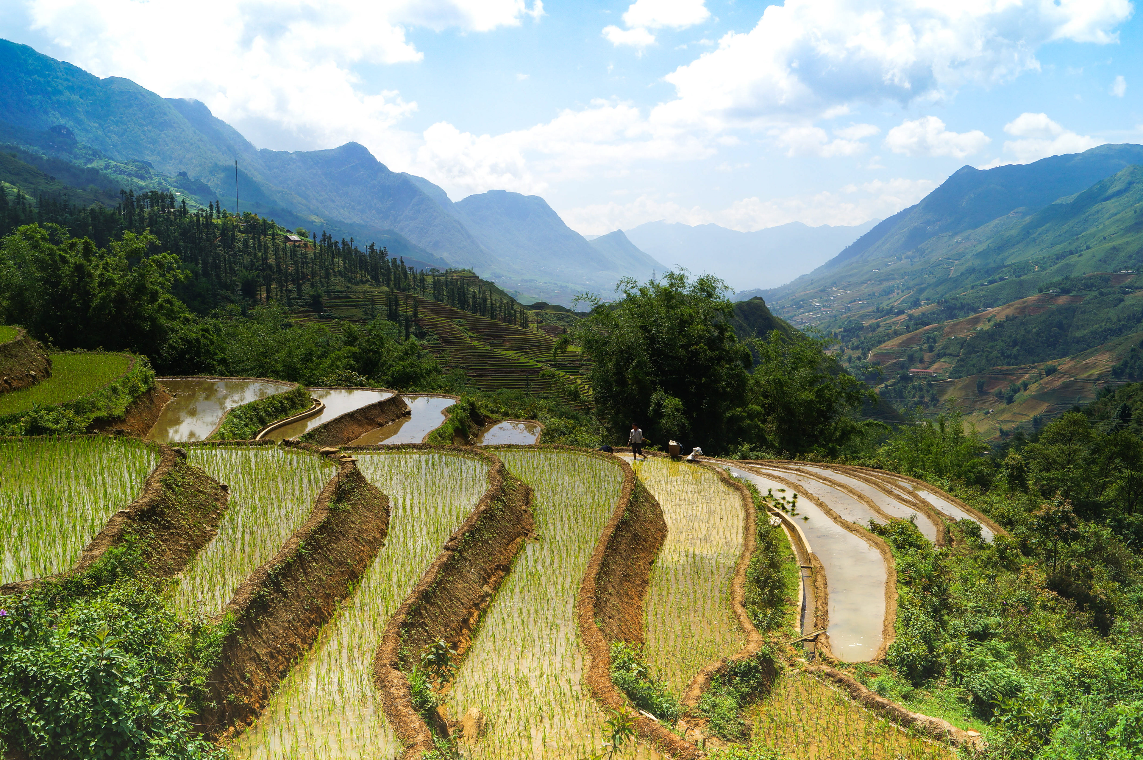 Vietnam