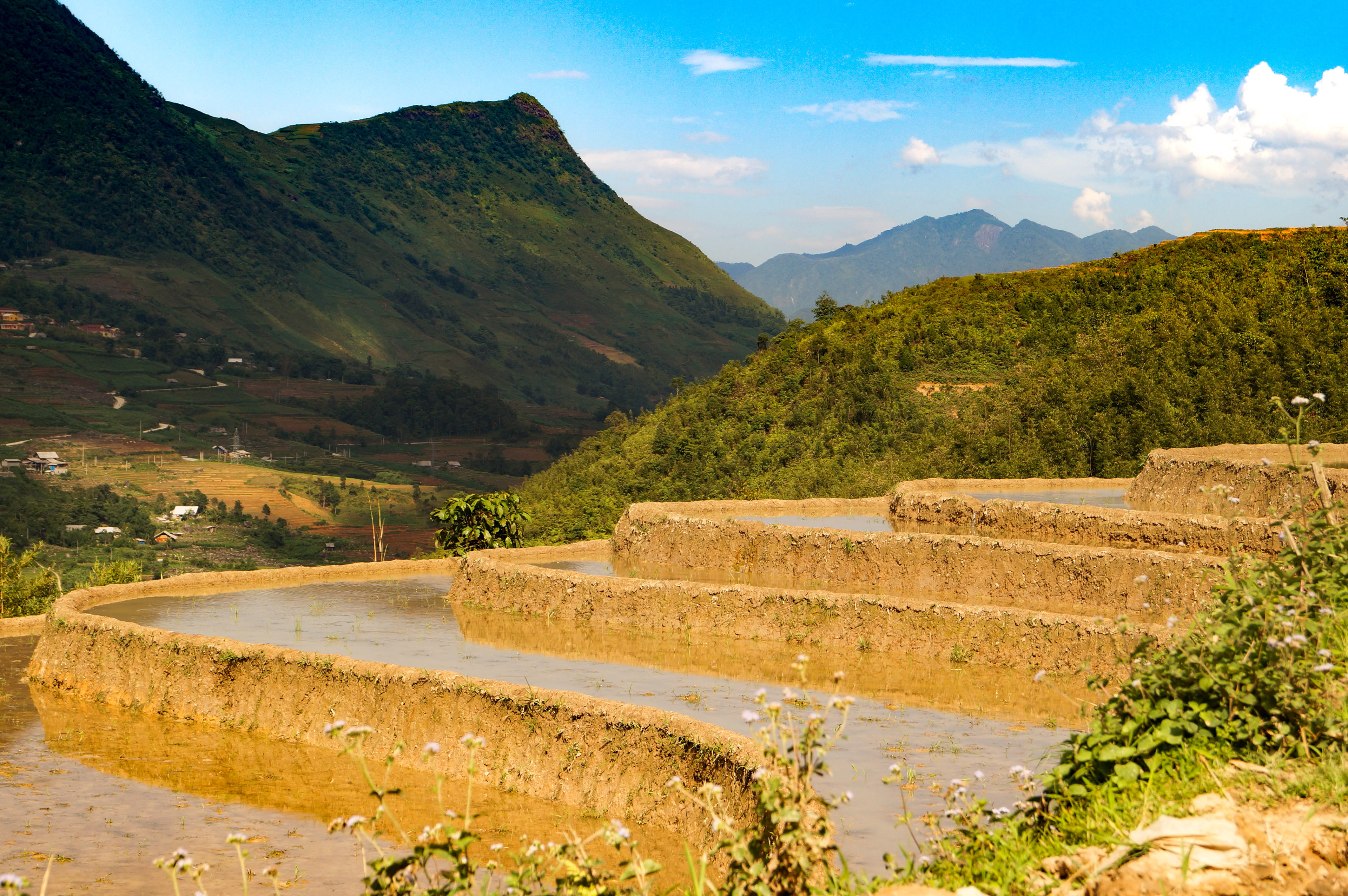 Vietnam
