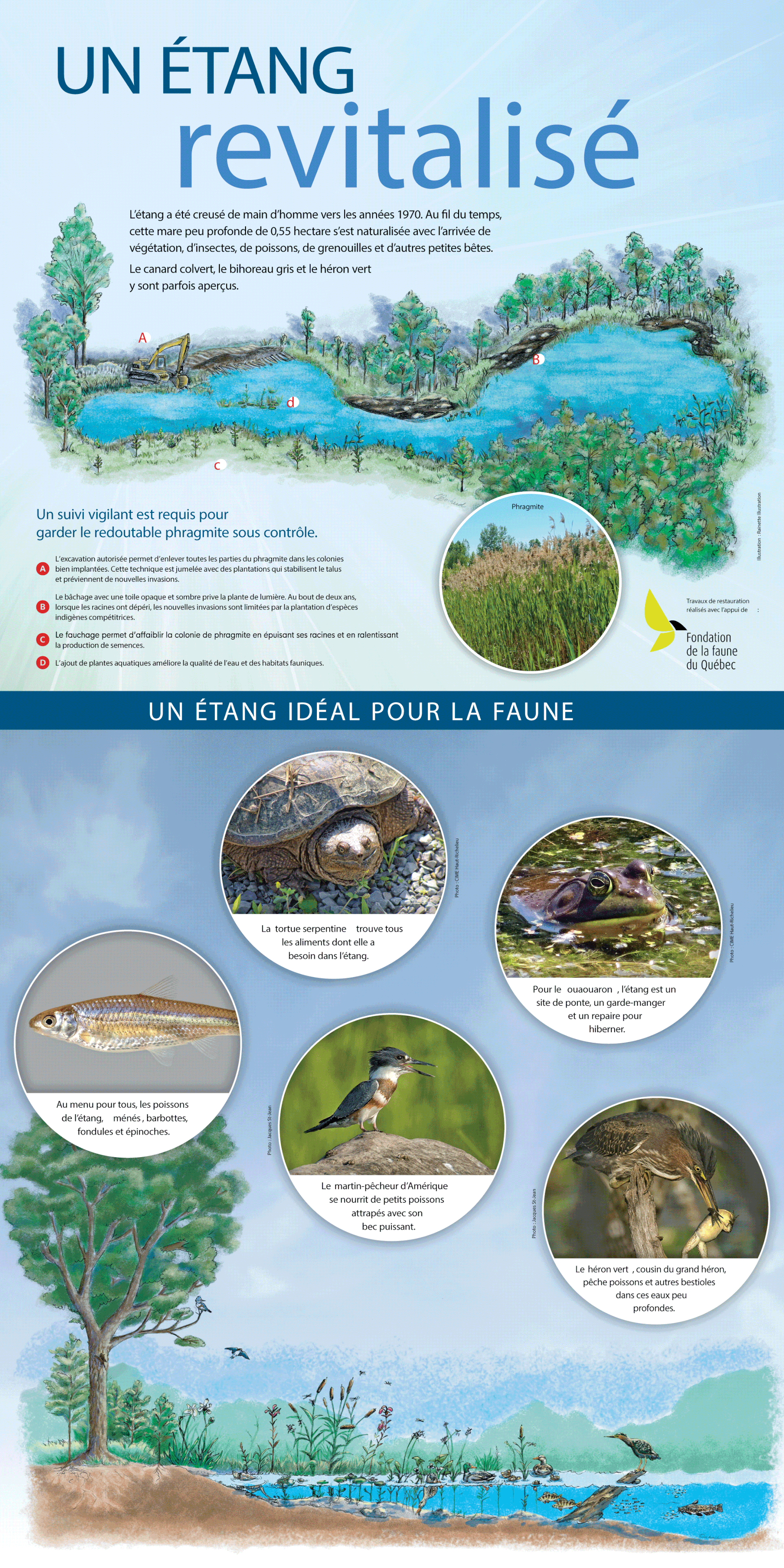 Projet renaturalisation d'un lac - Sainte-Catherine-de-la-Jacques-Cartier