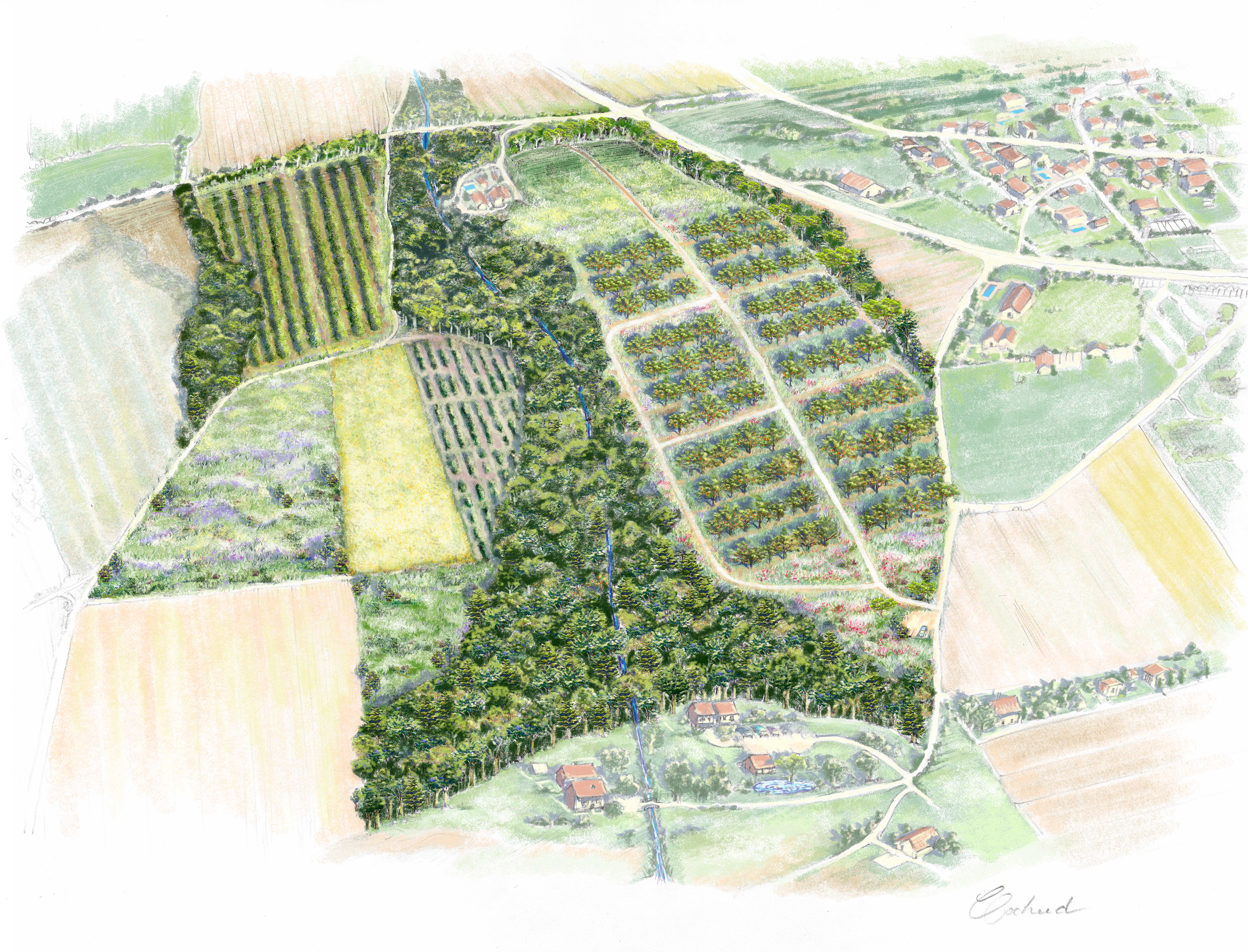 Carte artistique d'un vignoble écotouristique en France - Famille Gassier