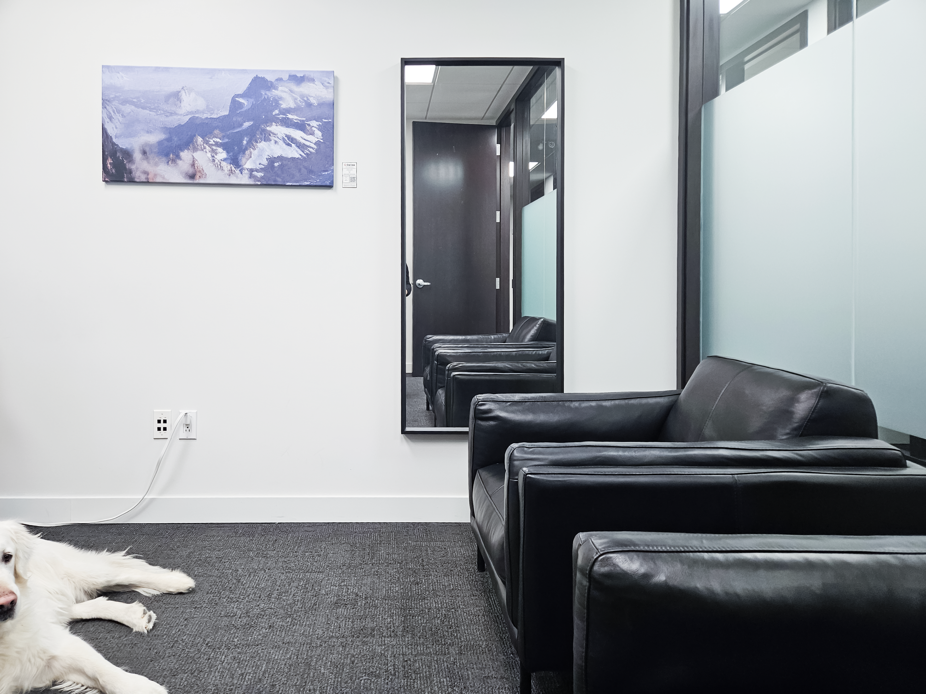 https://gallea.ca/fr/expositions/across-grand-horizons