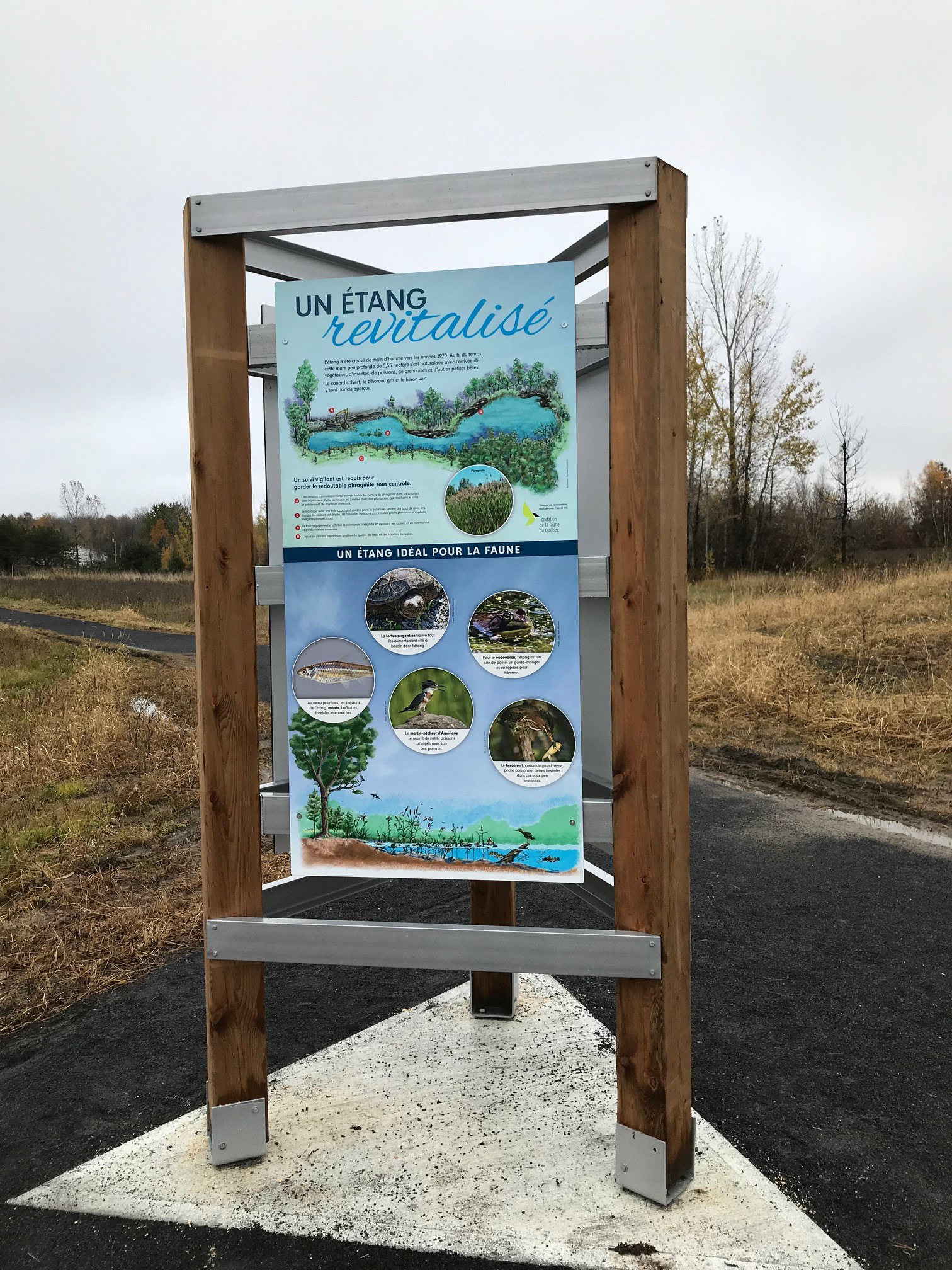 Projet renaturalisation d'un lac - Saint Jean-sur-Richelieu  - Parc des Parulines