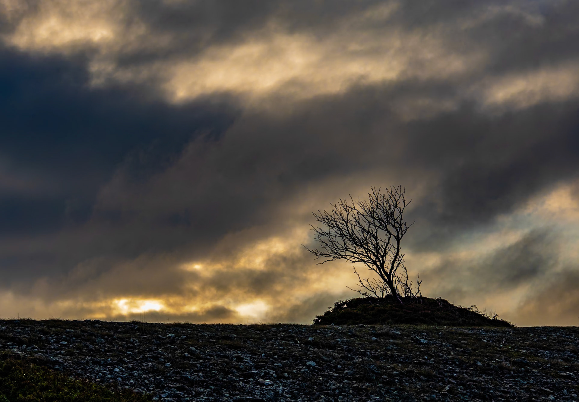 Man kanske skulle ta lite semester