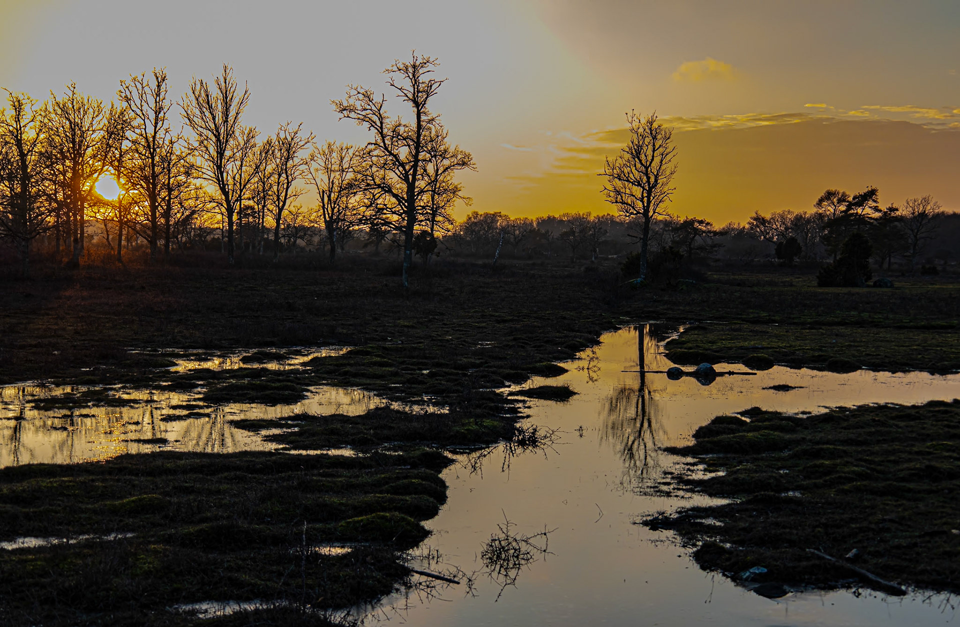 Infoga egen text här