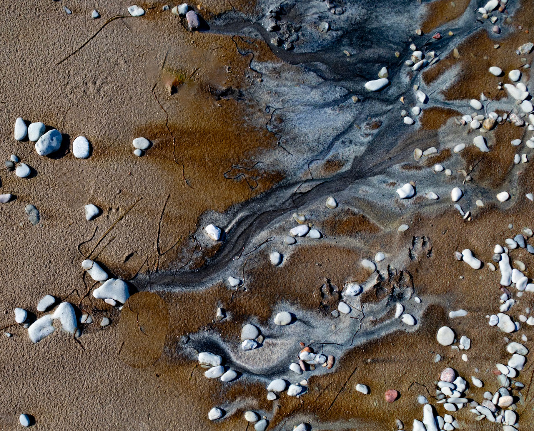 Strandkonst signerat Östersjön