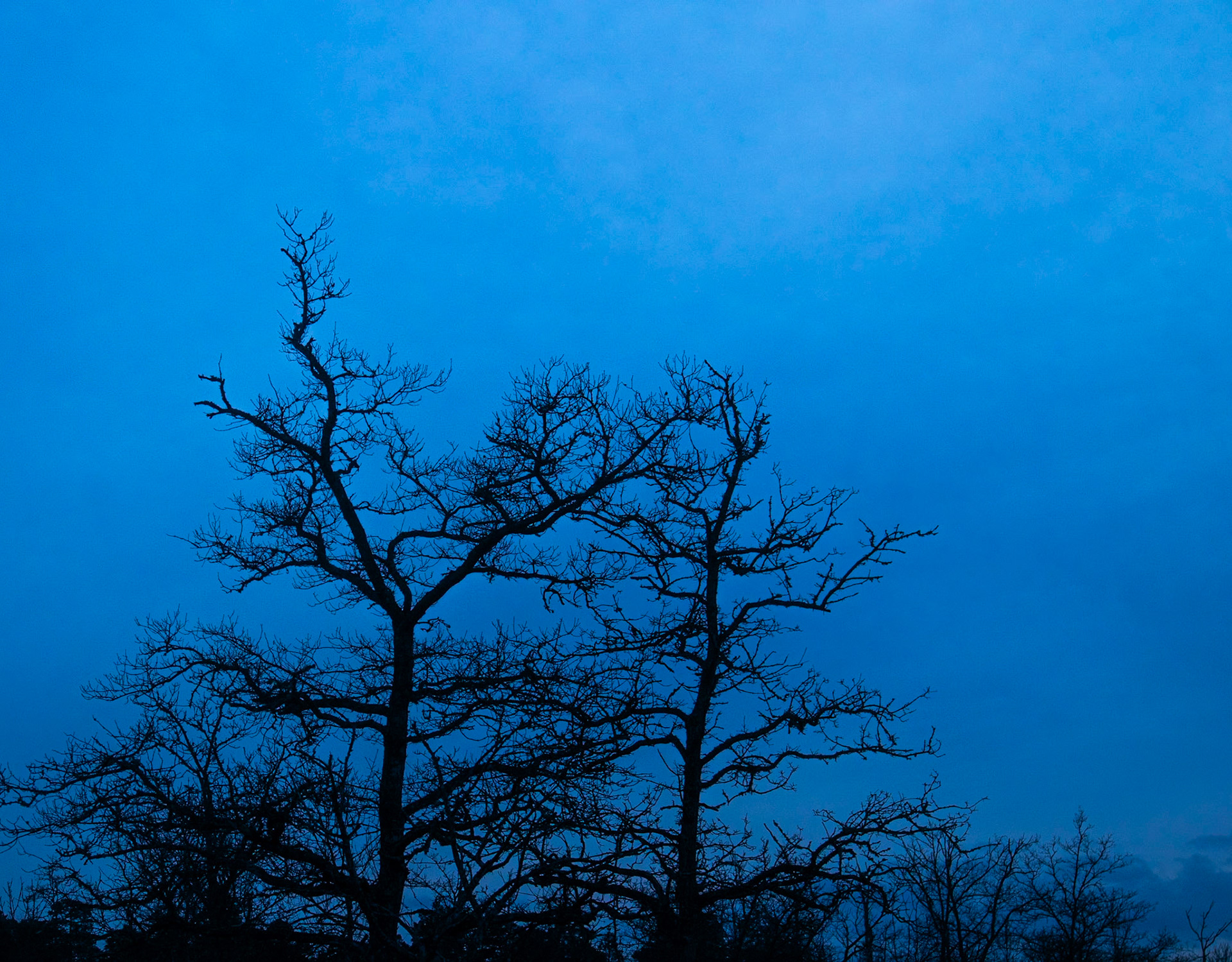 Ekar i bått...blått...blått