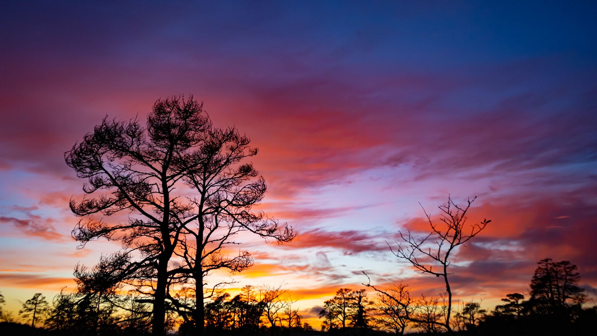 Ibland sprakar det bara till på himlen