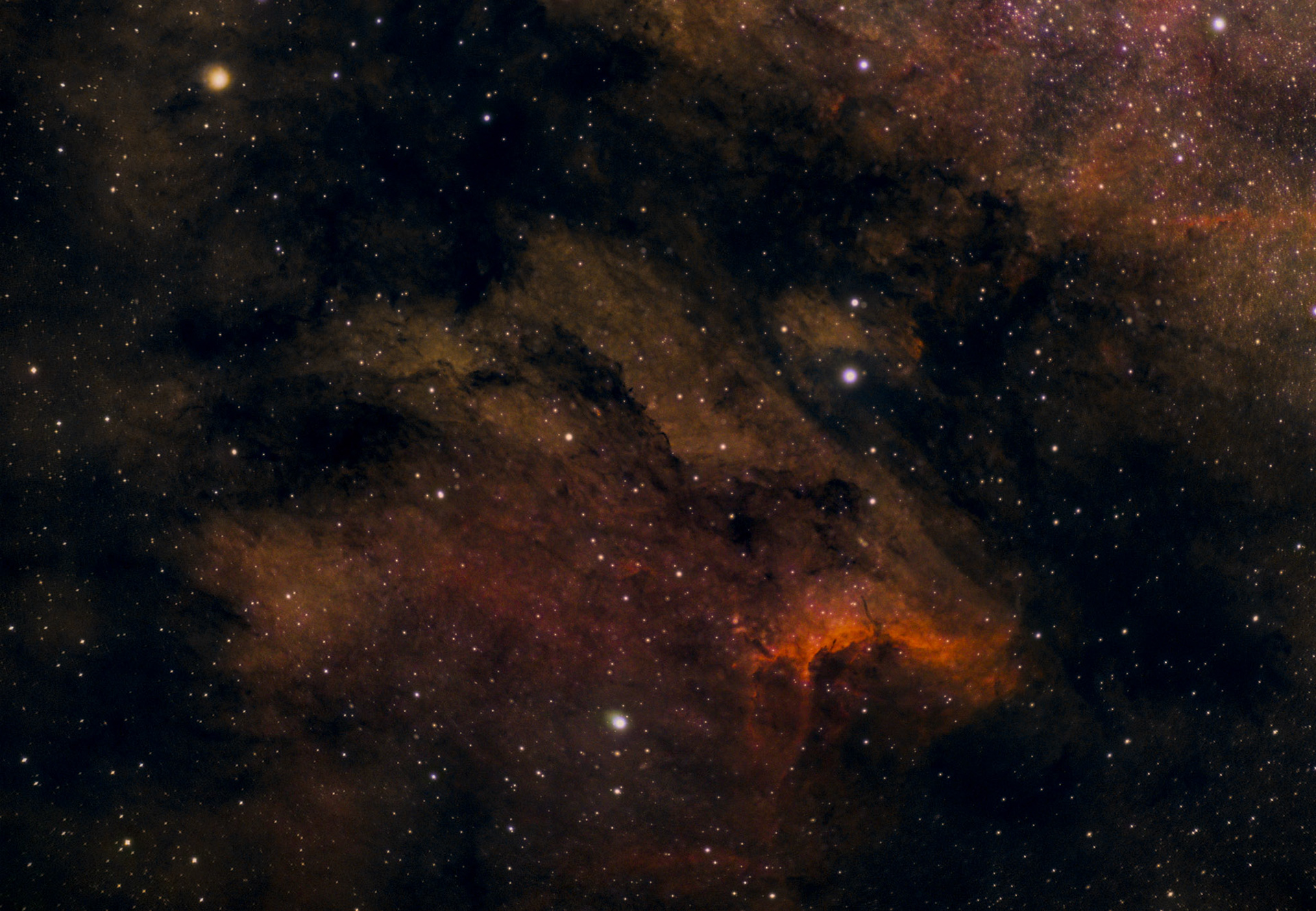 IC5070, Pelican nebula på engelska, själv tycker jag den ser ut som en räv, en glad räv. Den ligger 1800 ljusår bort i Svanens stjärnbild. Uppe till höger skymtar den enorma Nordamerikanebulosan.