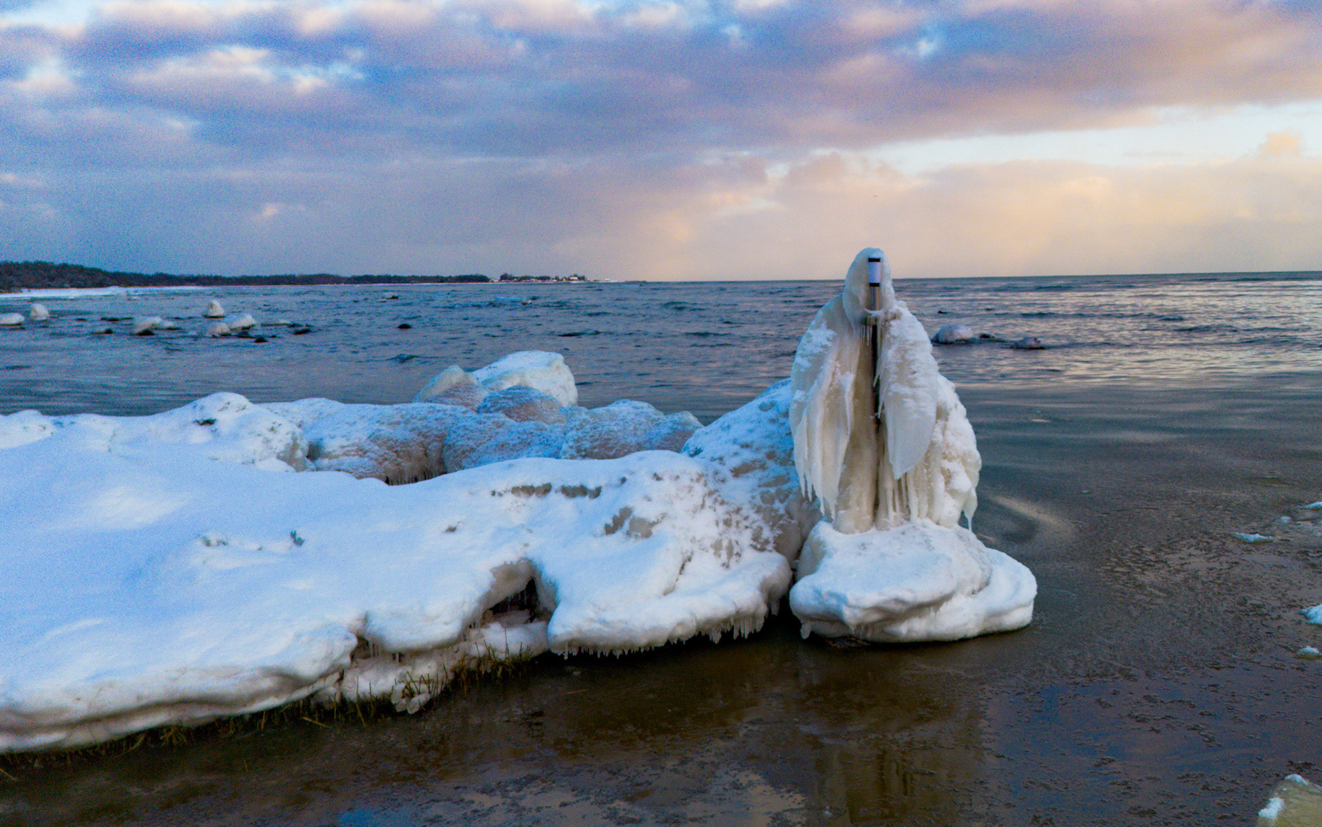 Isängel pryder infarten till Svajde fiskeläge