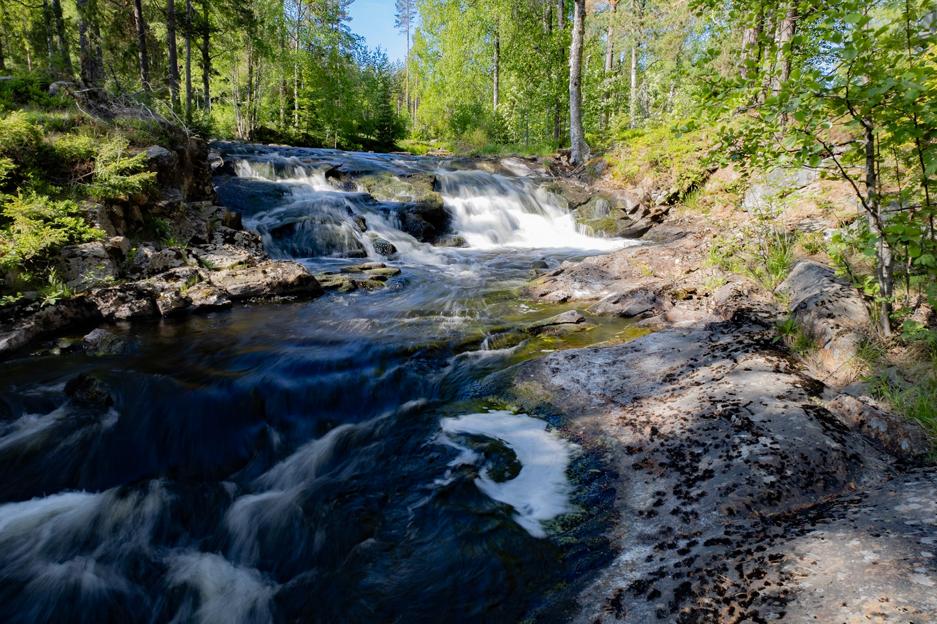 Skraddartorpsån hastar vidare