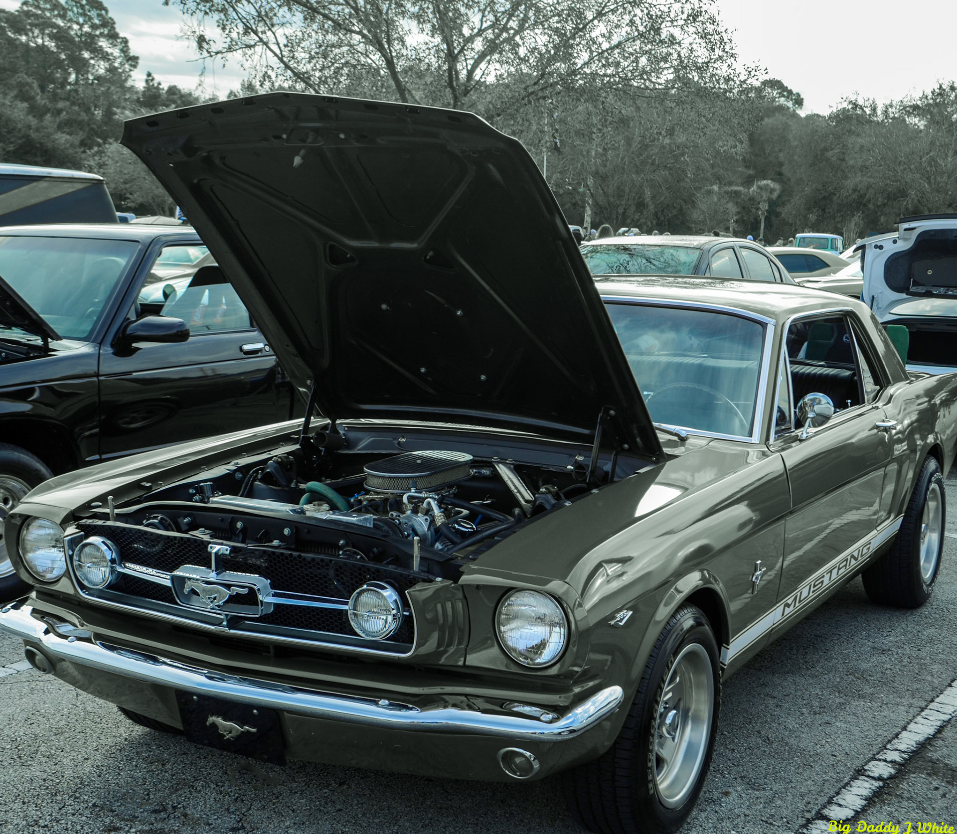 Jacksonville  Cars & Coffee 2018