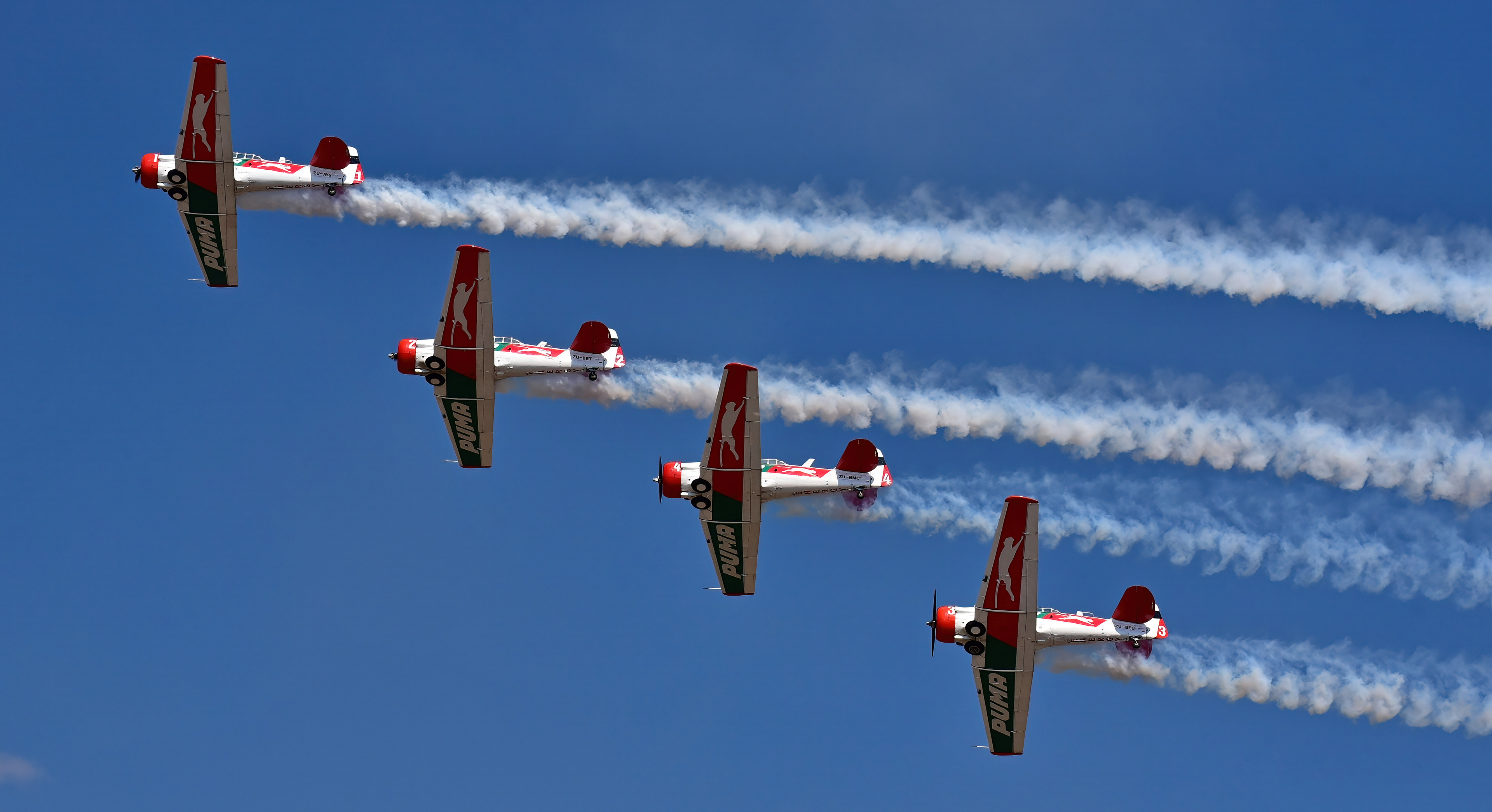 Puma Harvards